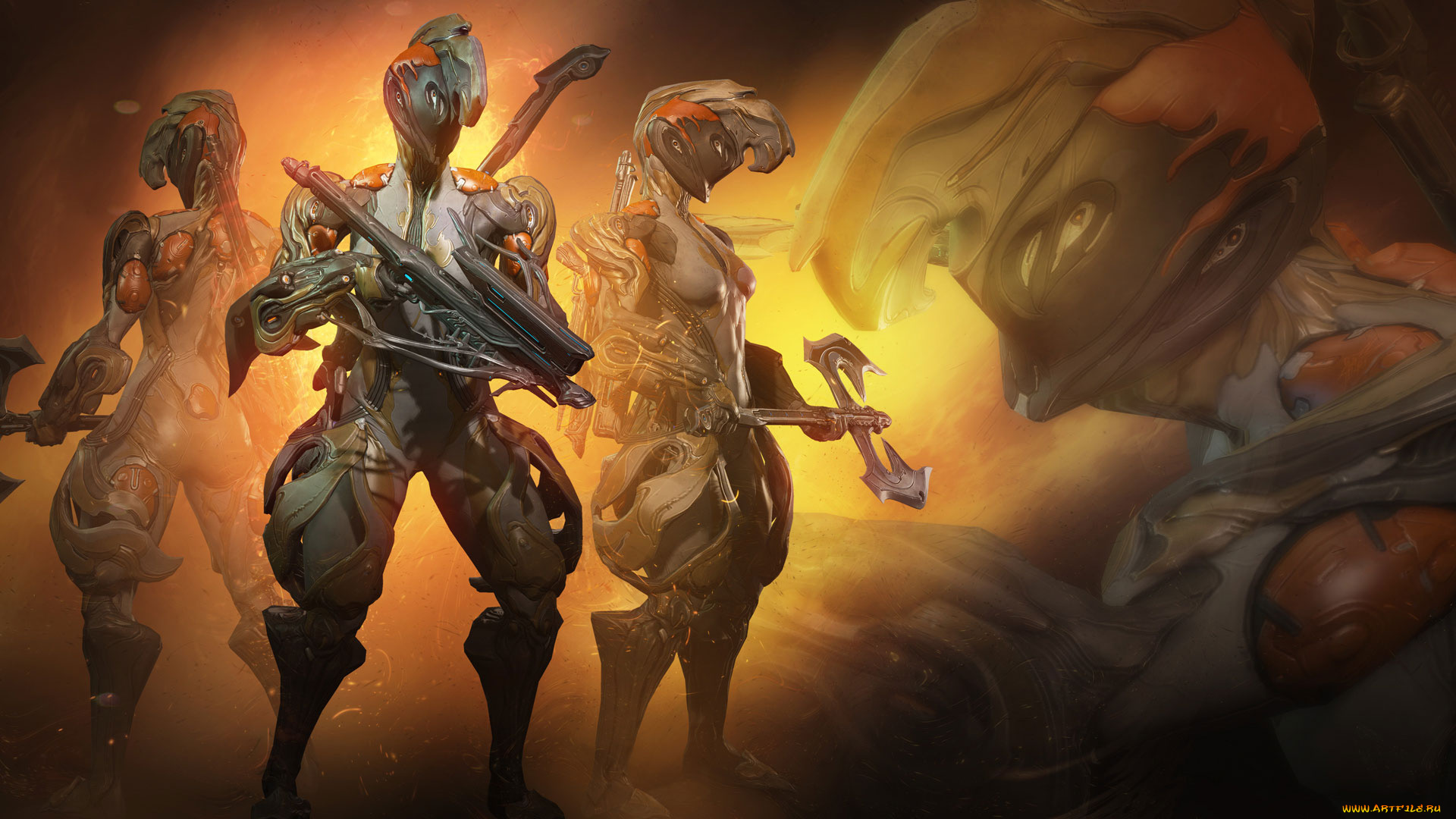 видео, игры, warframe