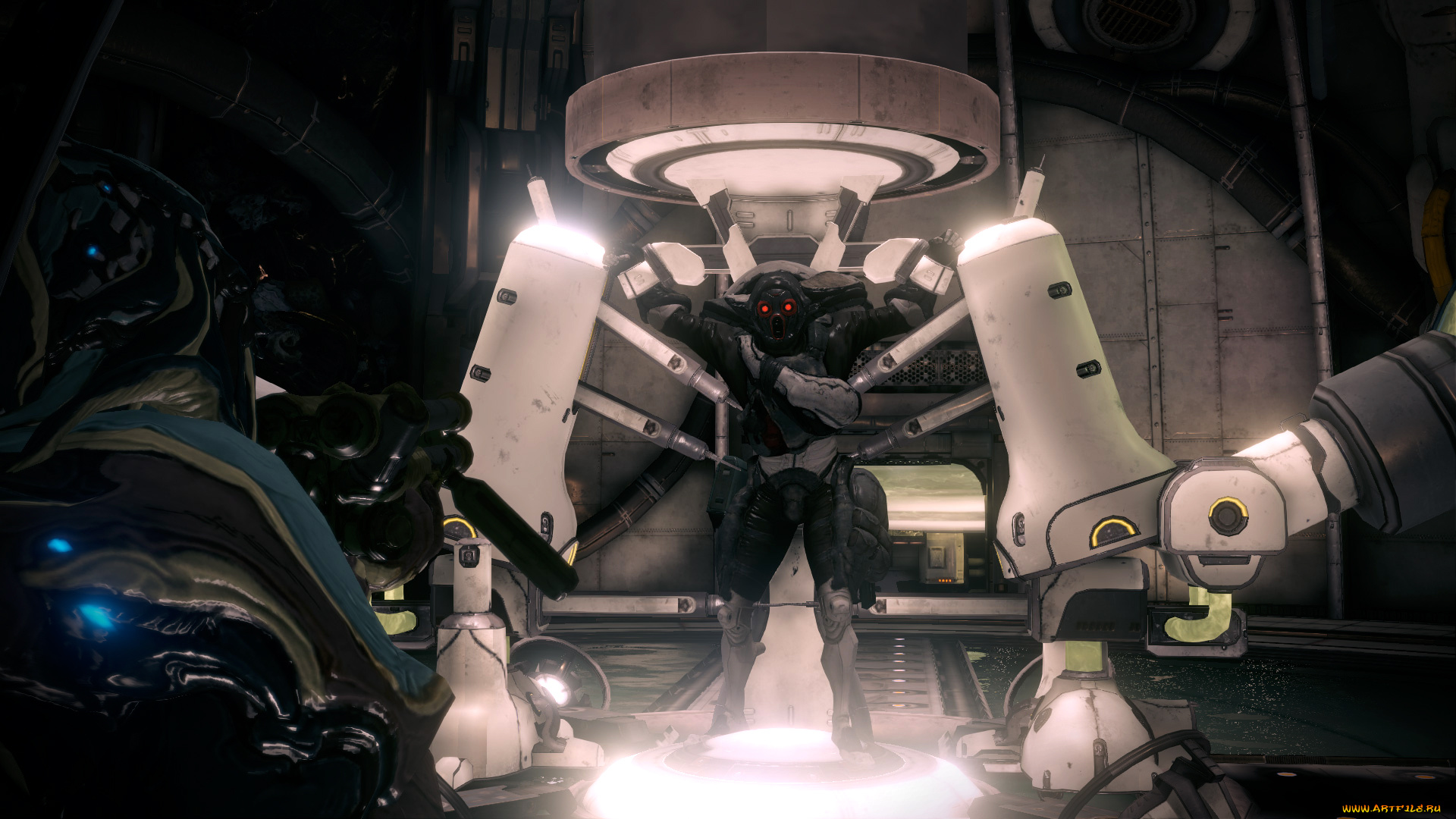 видео, игры, warframe