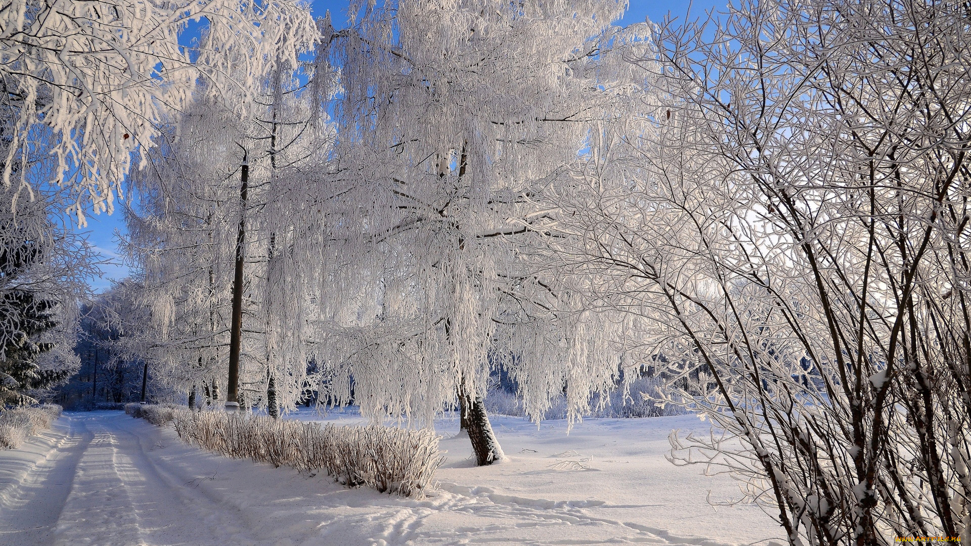 природа, зима, снег, сугробы