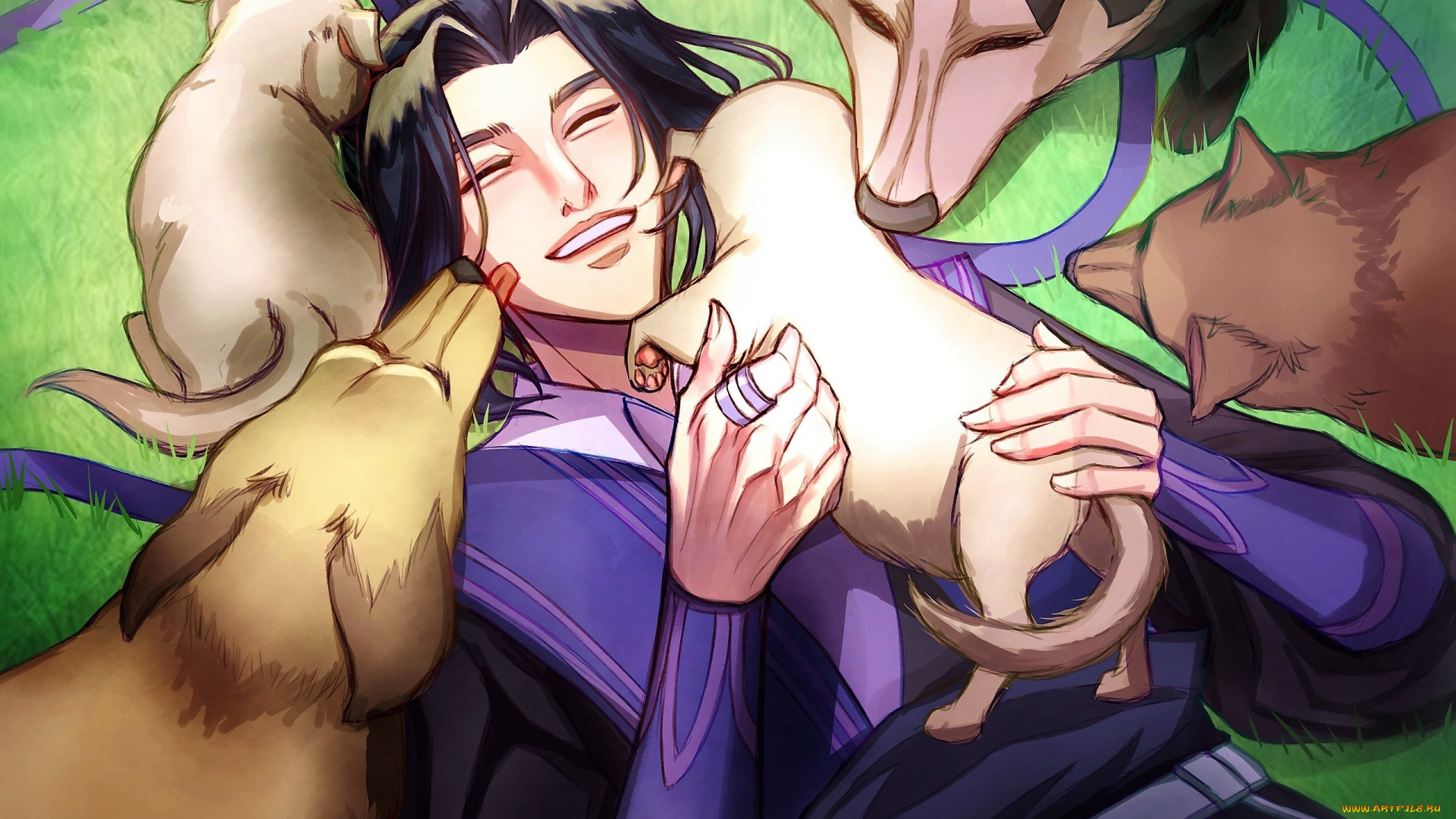 аниме, mo, dao, zu, shi, цзян, чен, собаки