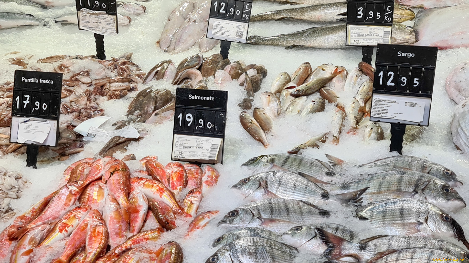 еда, рыба, , морепродукты, , суши, , роллы, лед, свежая, ценники