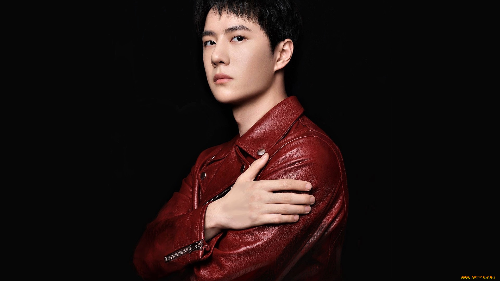 мужчины, wang, yi, bo, актер, куртка