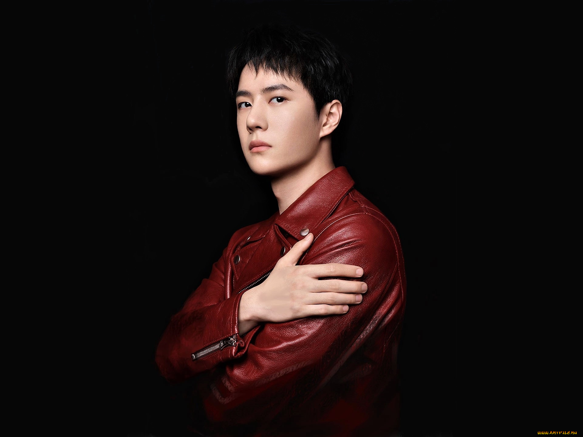 мужчины, wang, yi, bo, актер, куртка