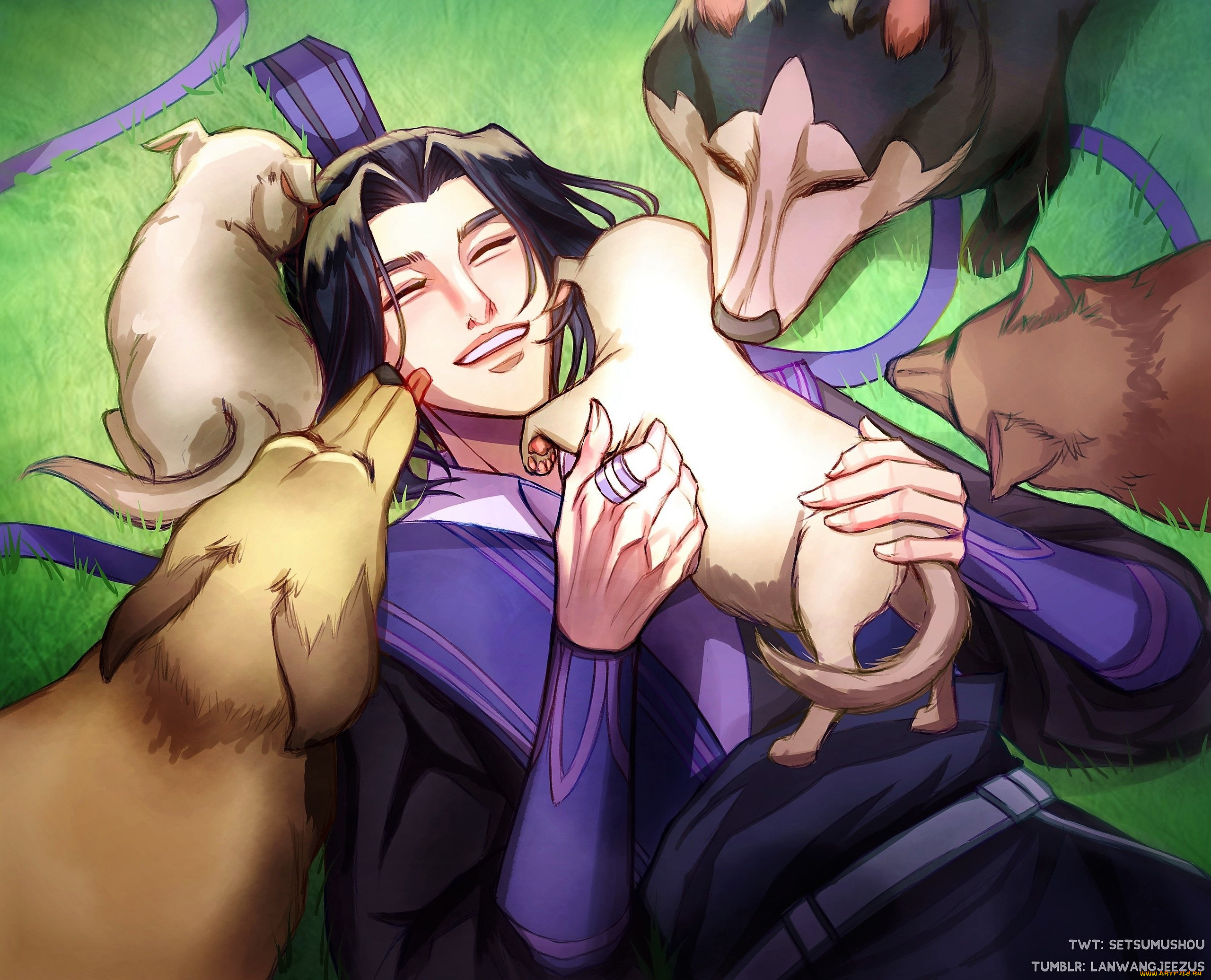 аниме, mo, dao, zu, shi, цзян, чен, собаки