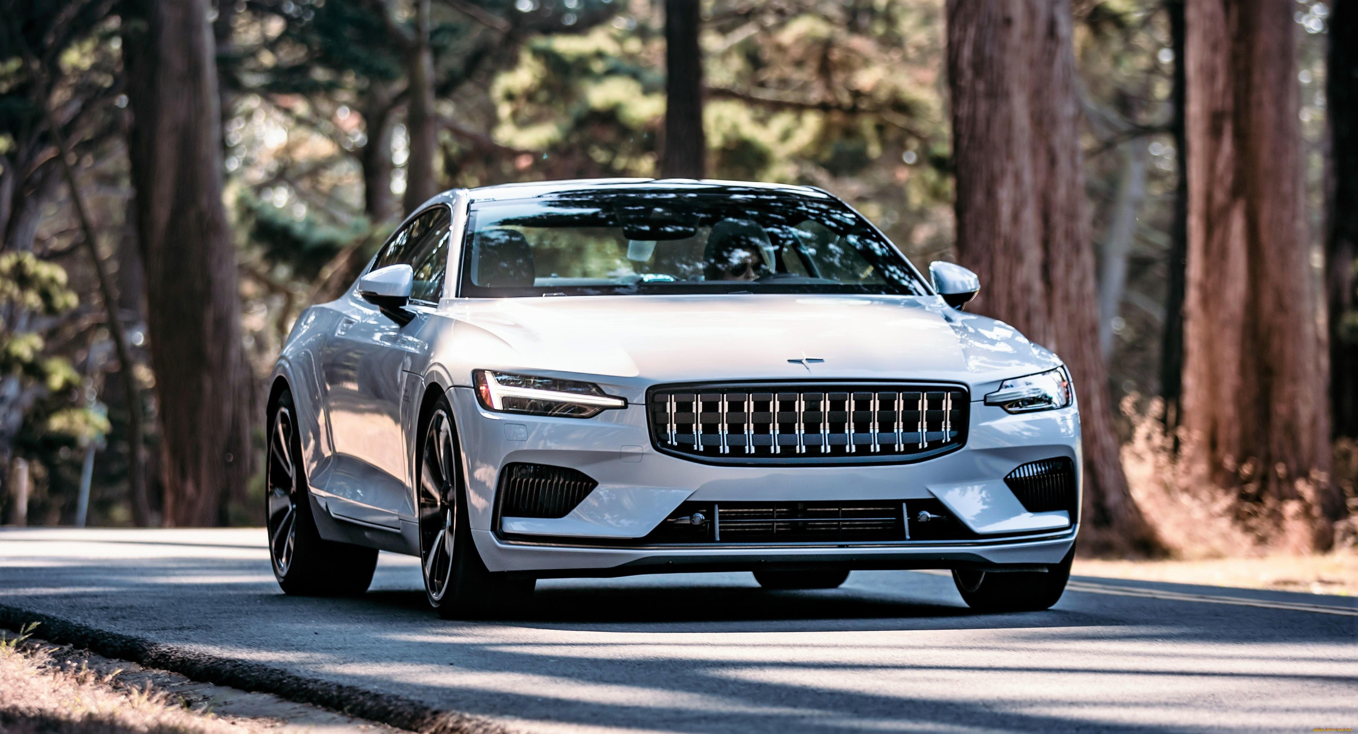 автомобили, polestar, белый, дорога, лес