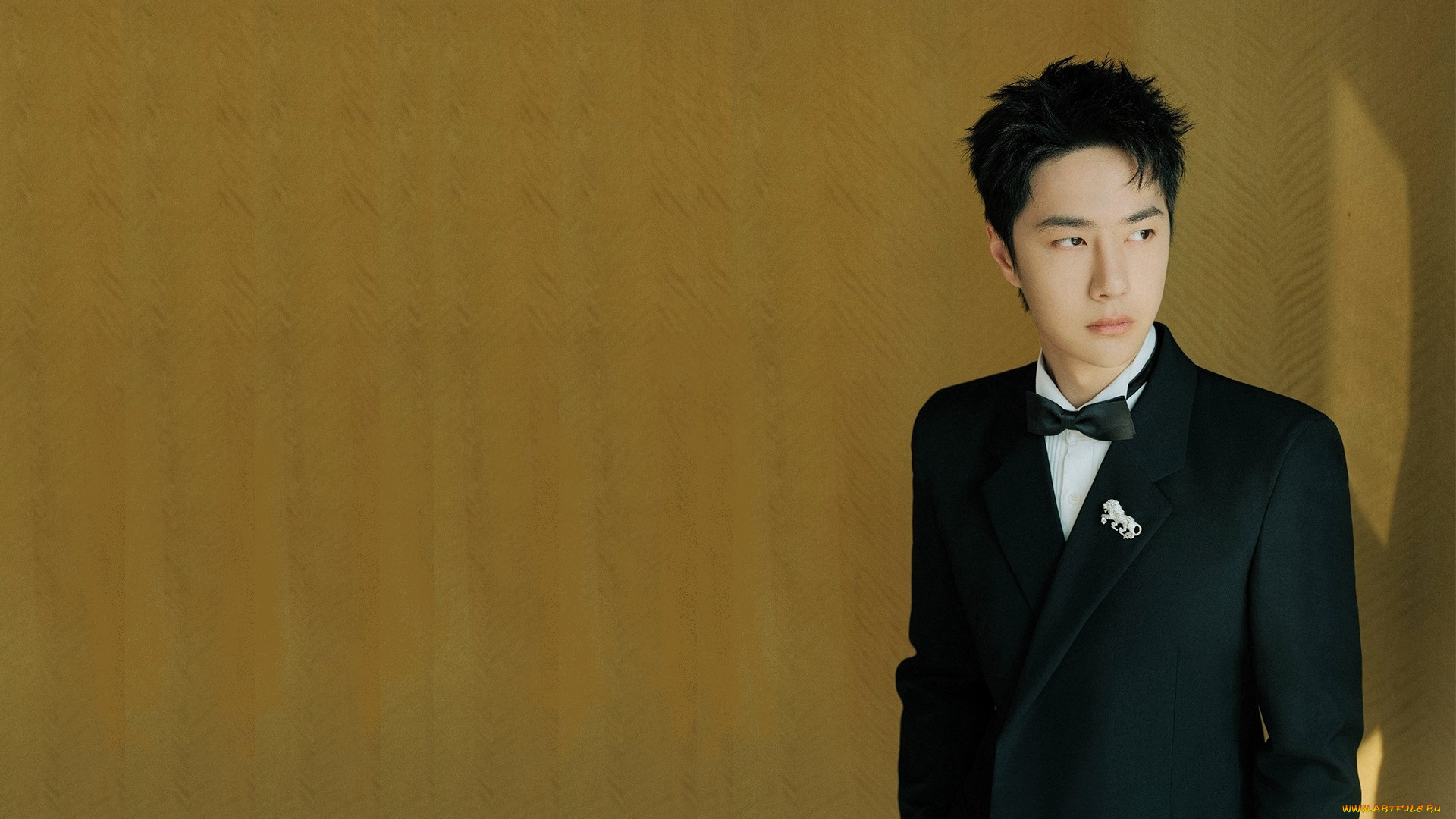 мужчины, wang, yi, bo, актер, костюм, бабочка