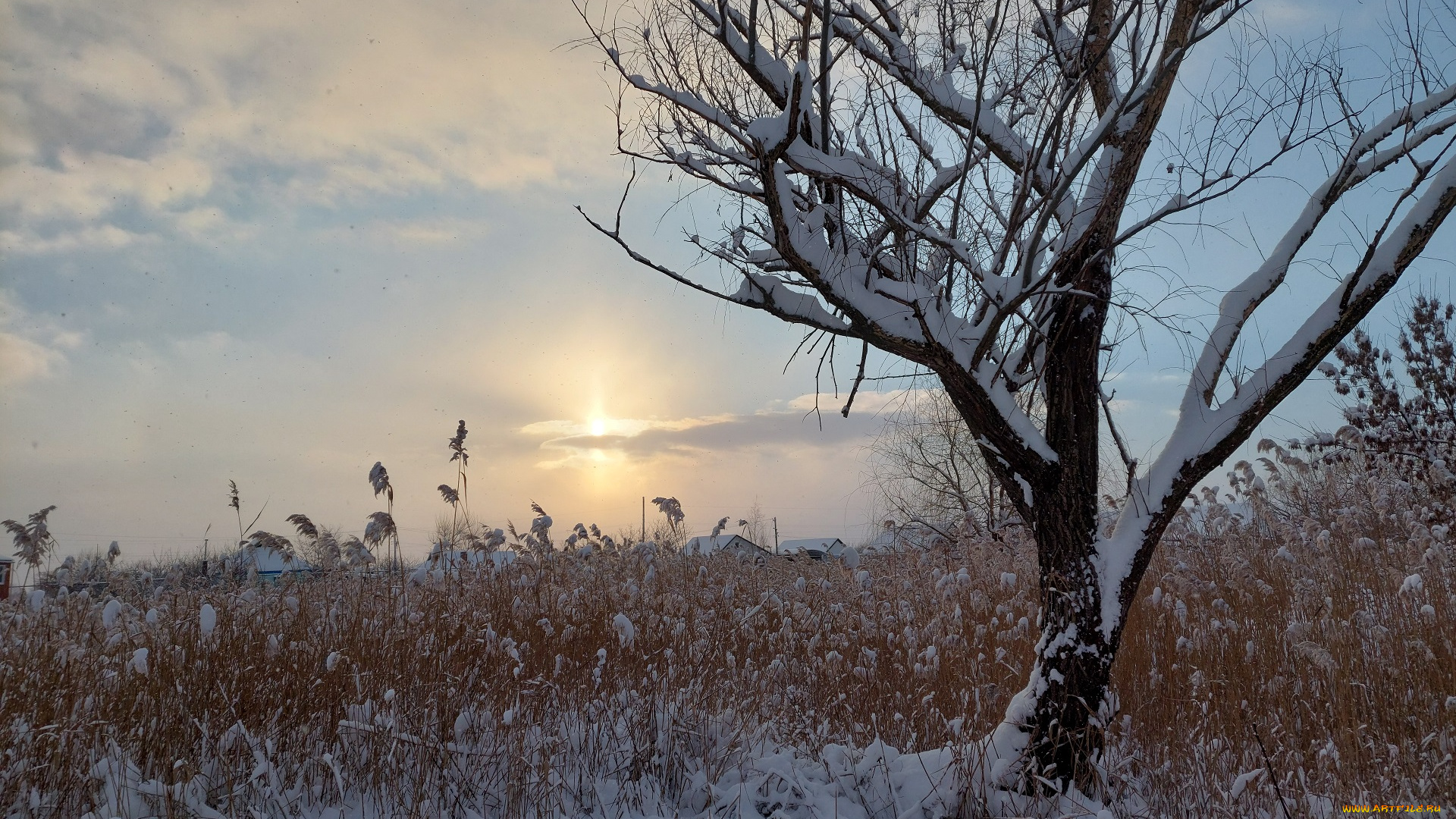 природа, восходы, закаты, зима, снег