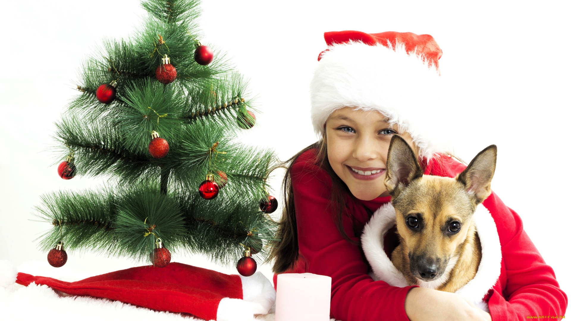 разное, дети, девочка, костюм, собака, ёлка