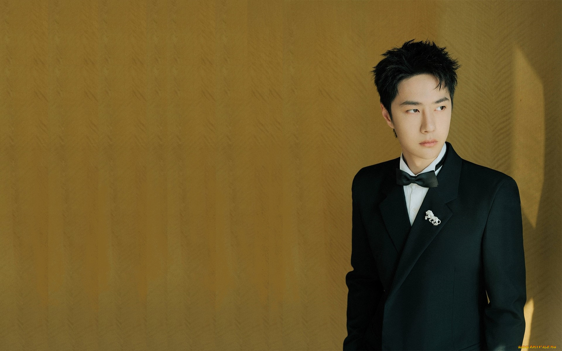 мужчины, wang, yi, bo, актер, костюм, бабочка