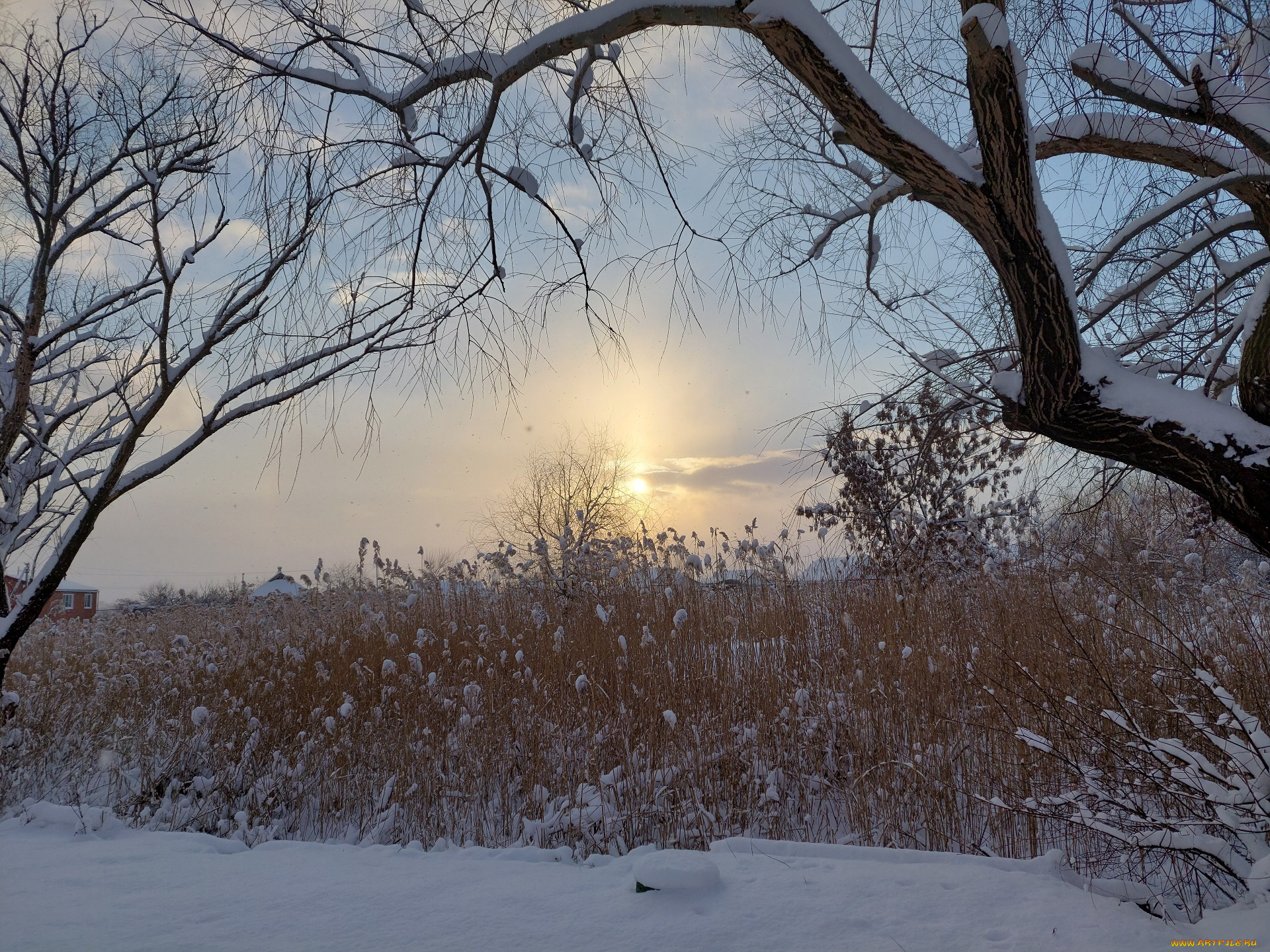 природа, восходы, закаты, зима, снег
