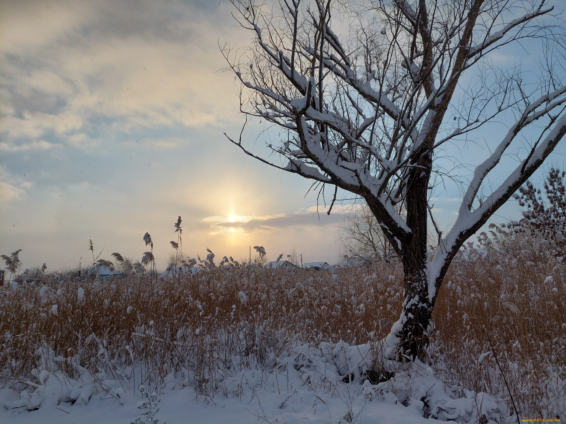 природа, восходы, закаты, зима, снег