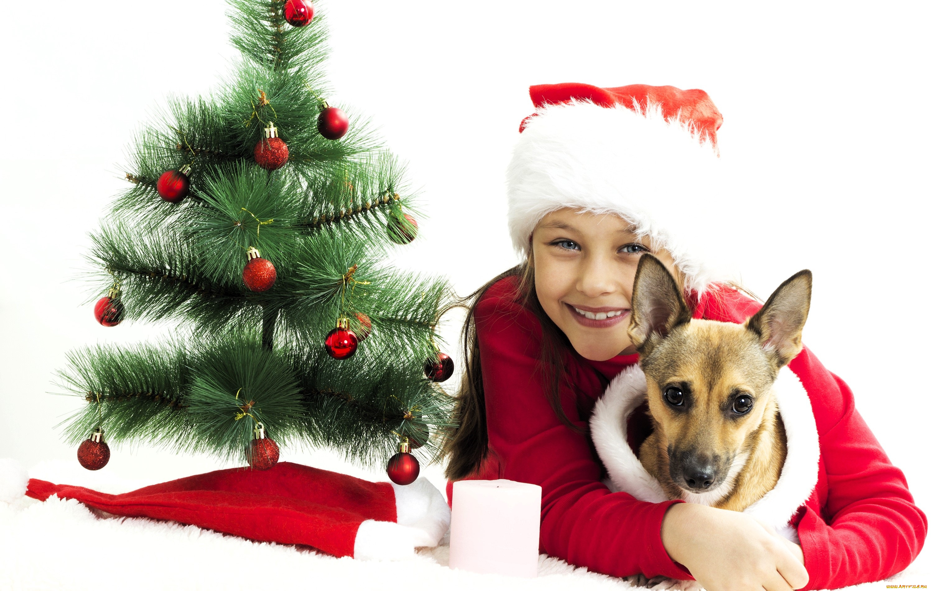 разное, дети, девочка, костюм, собака, ёлка
