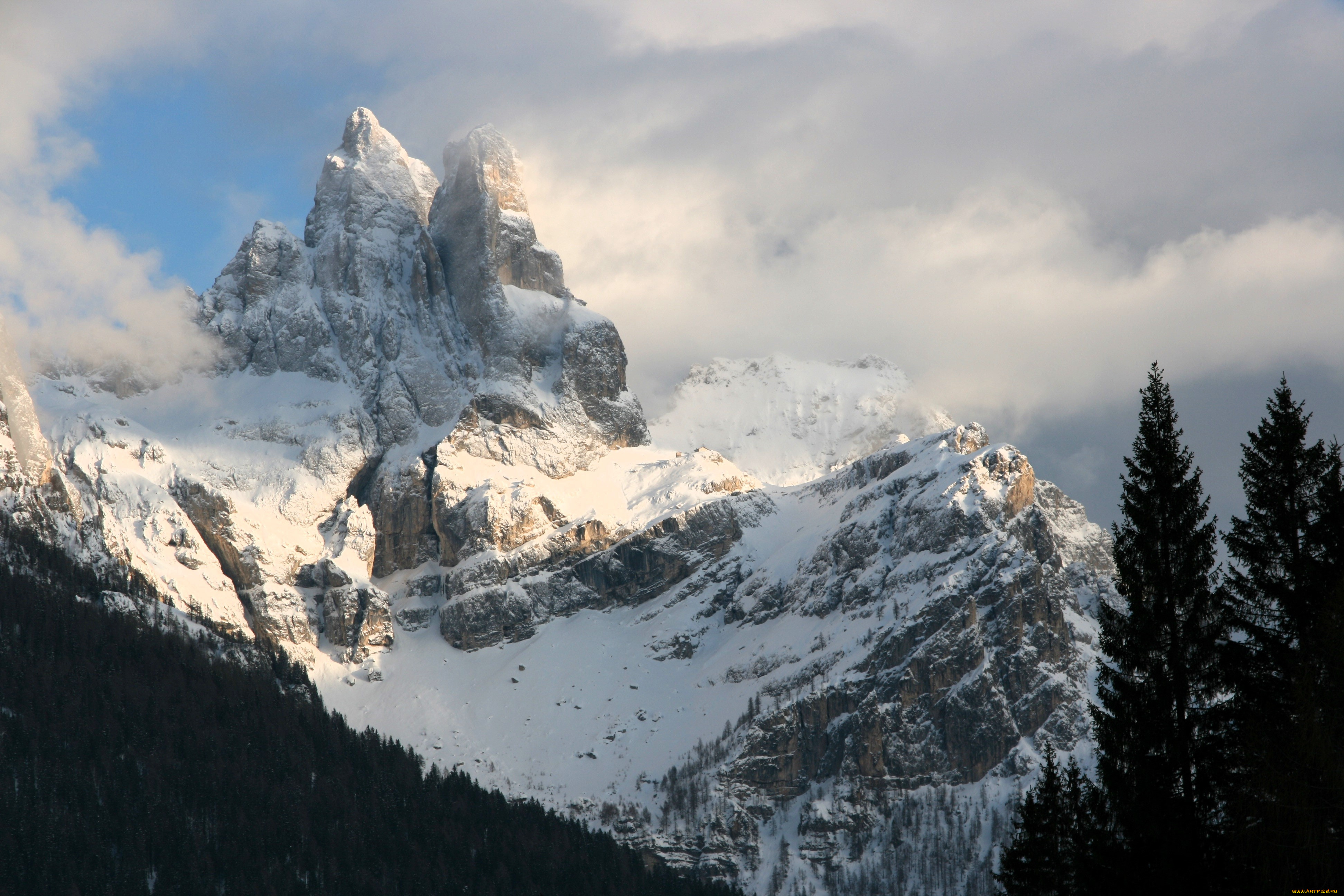 природа, горы, снег, облака, лес, деревья