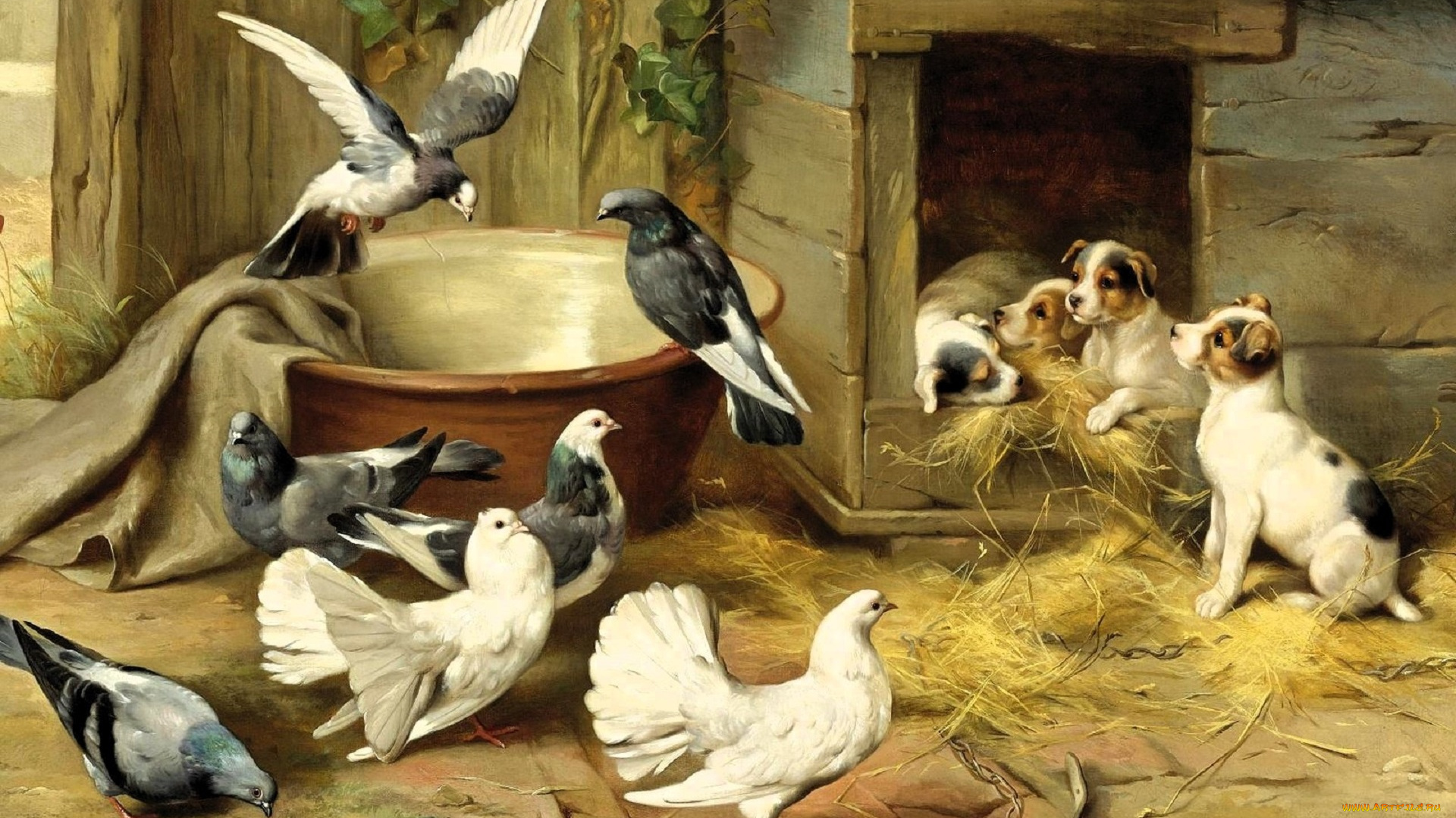 рисованное, edgar, hunt, голуби, горшок, конура, щенки, сено, сарай