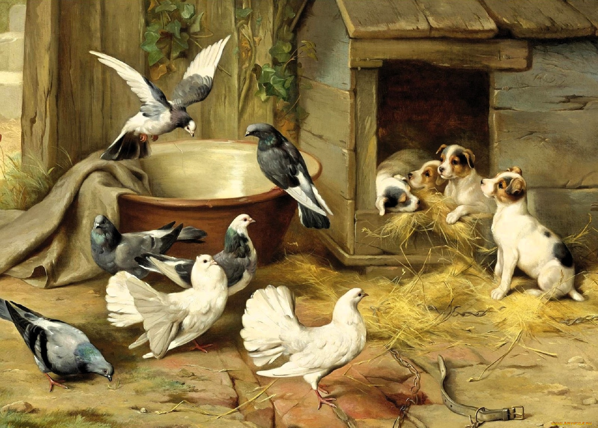 рисованное, edgar, hunt, голуби, горшок, конура, щенки, сено, сарай