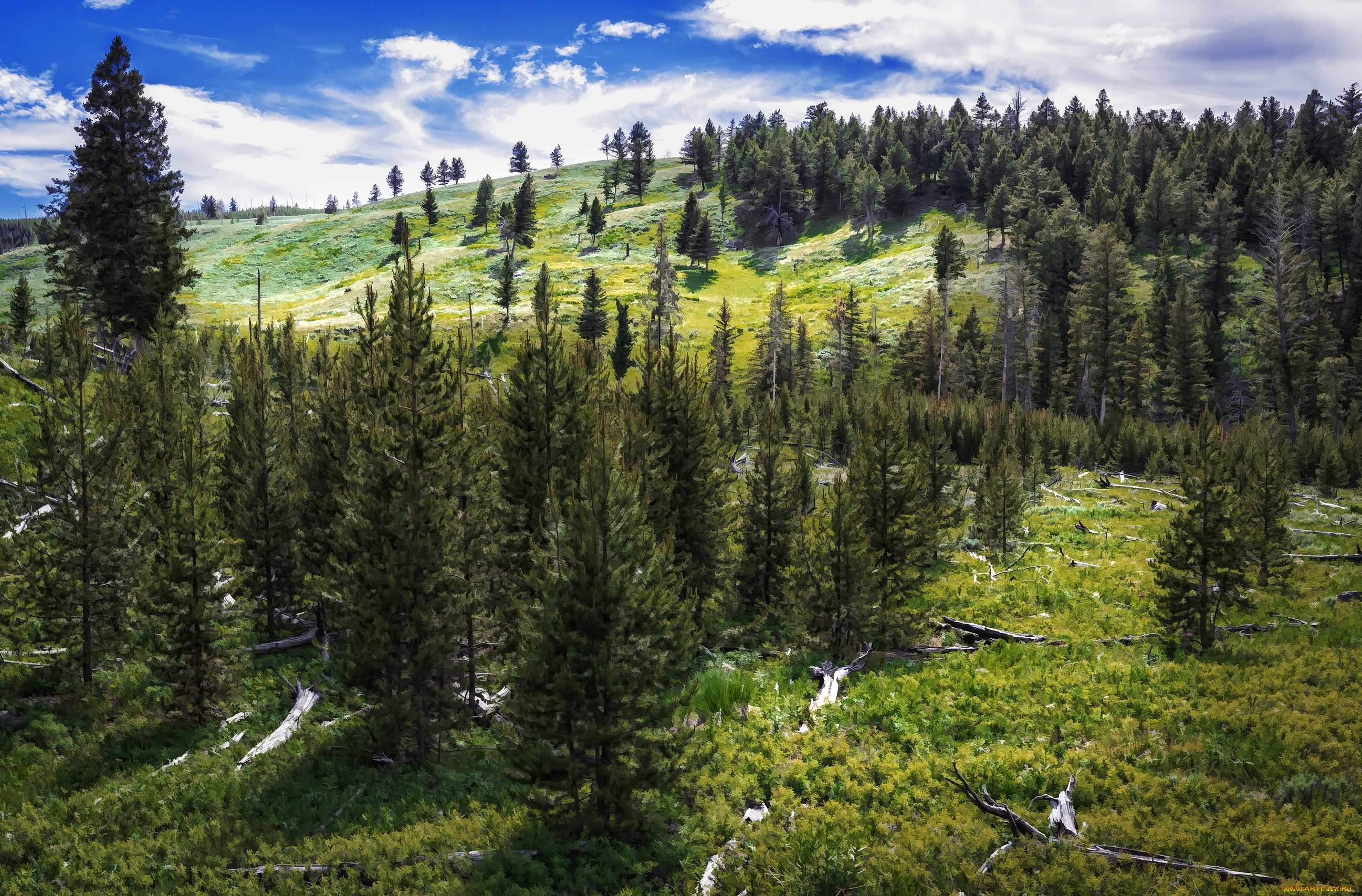 рисованное, природа, пейзаж