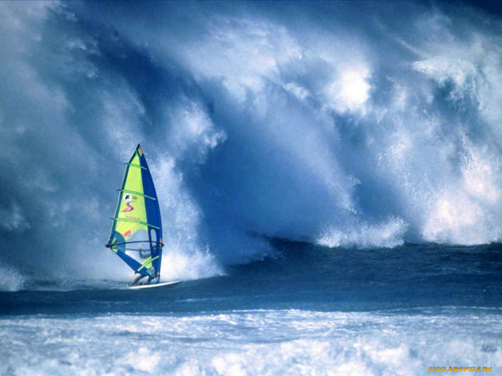 водные, виды, спорта, спорт, водный