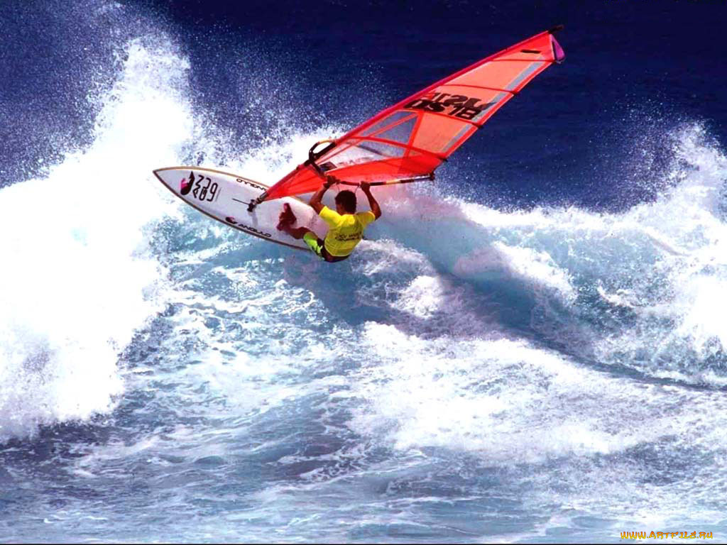 водные, виды, спорта, спорт, водный