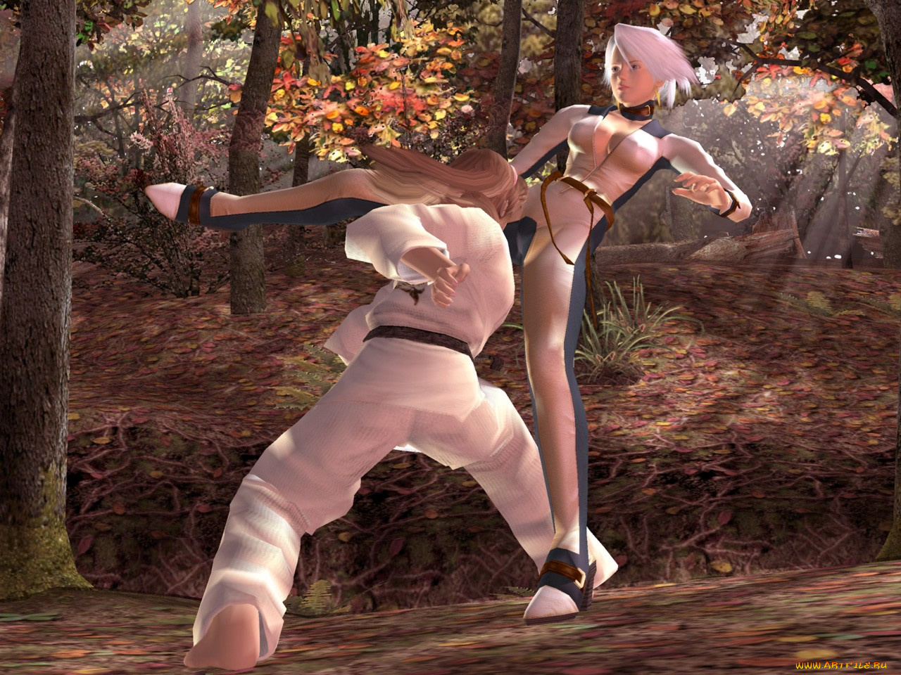 видео, игры, dead, or, alive, seri