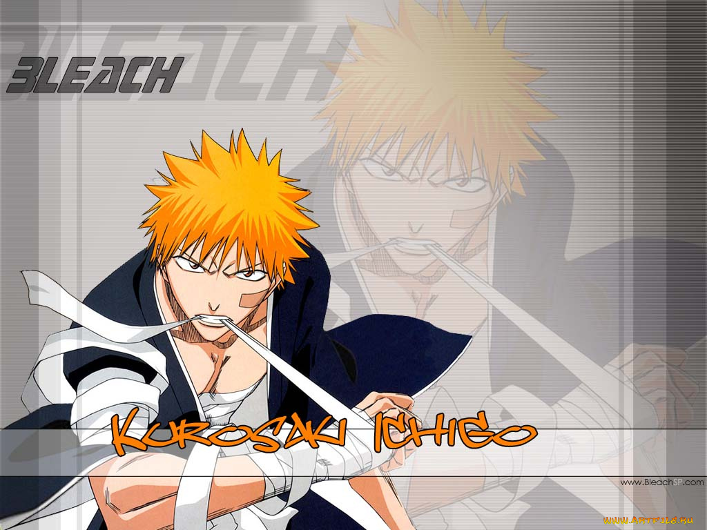 аниме, bleach