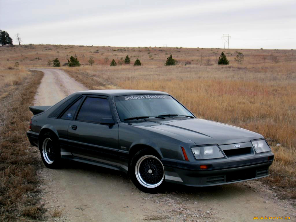 автомобили, mustang