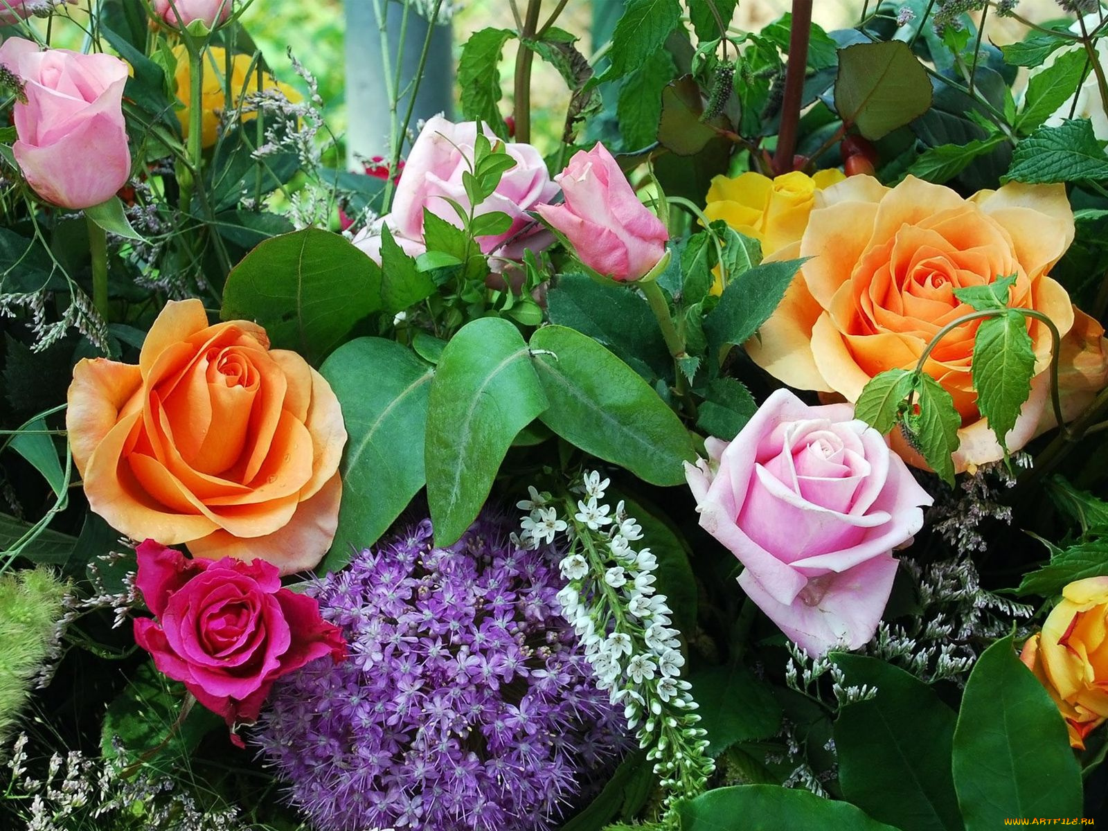 цветы, разные, вместе