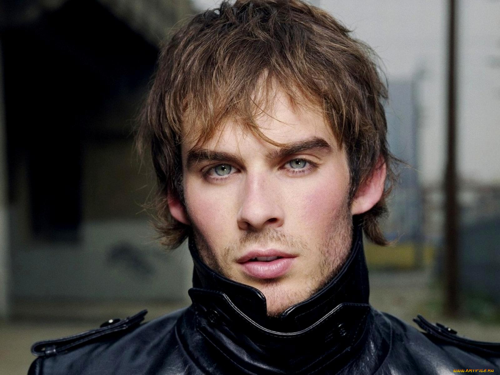 ian, somerhalder, мужчины