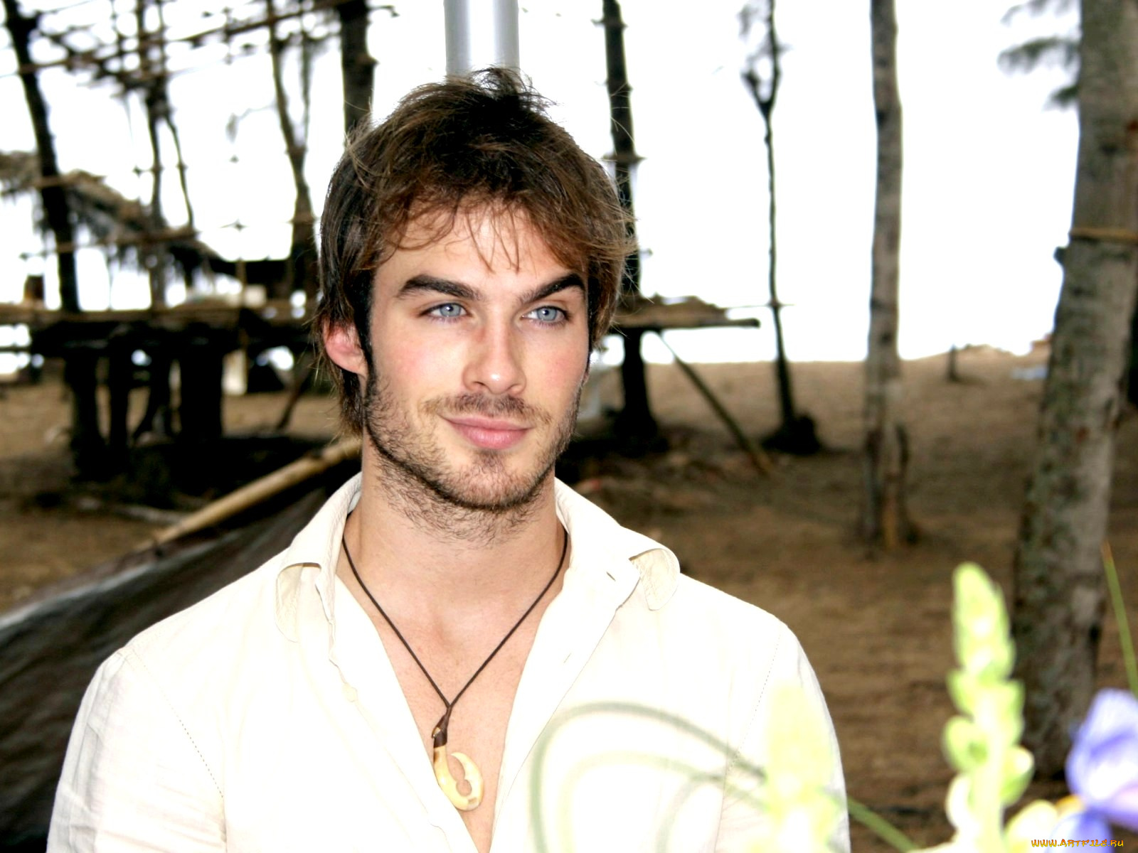 ian, somerhalder, мужчины