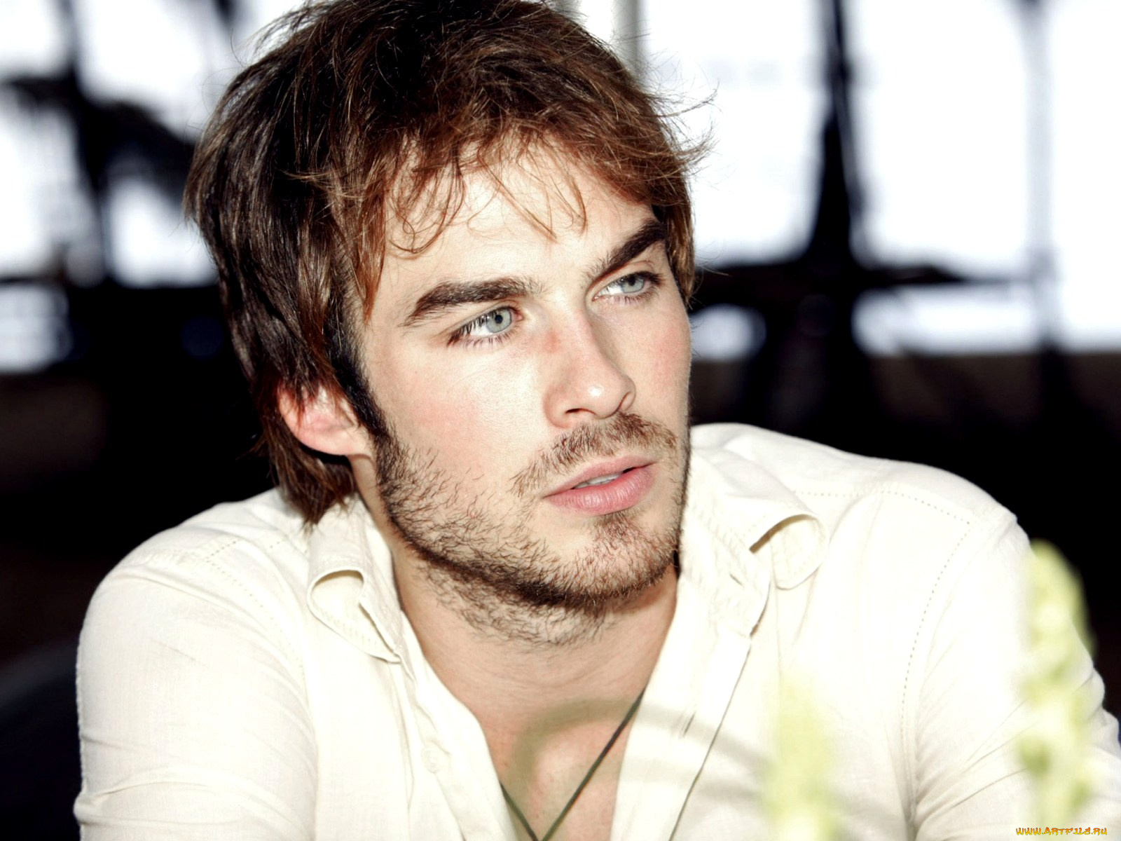 ian, somerhalder, мужчины