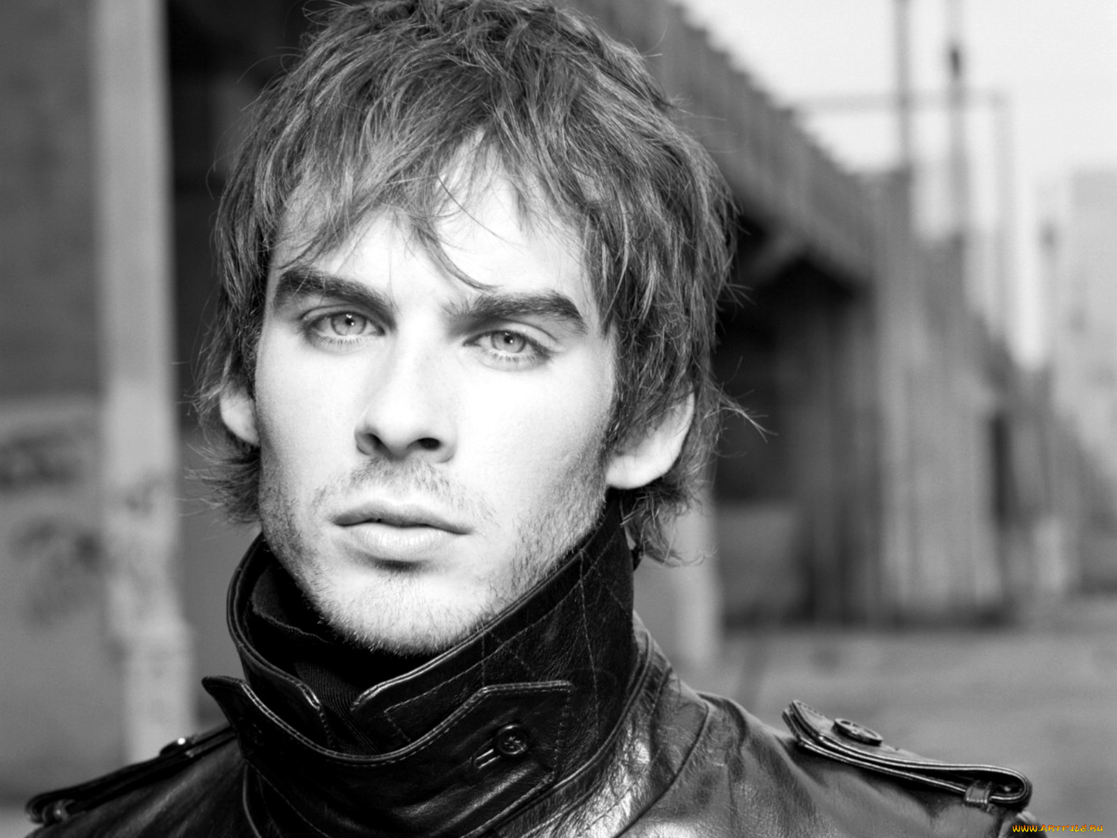 ian, somerhalder, мужчины
