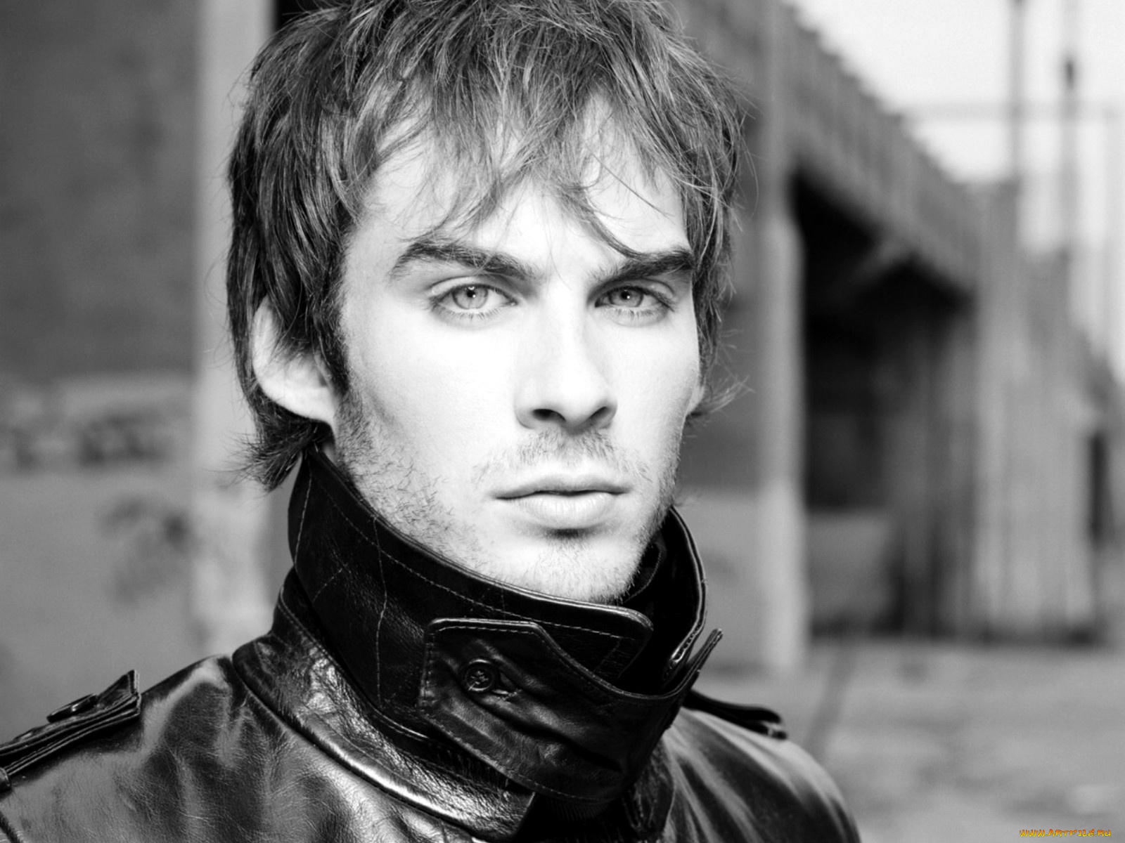 ian, somerhalder, мужчины