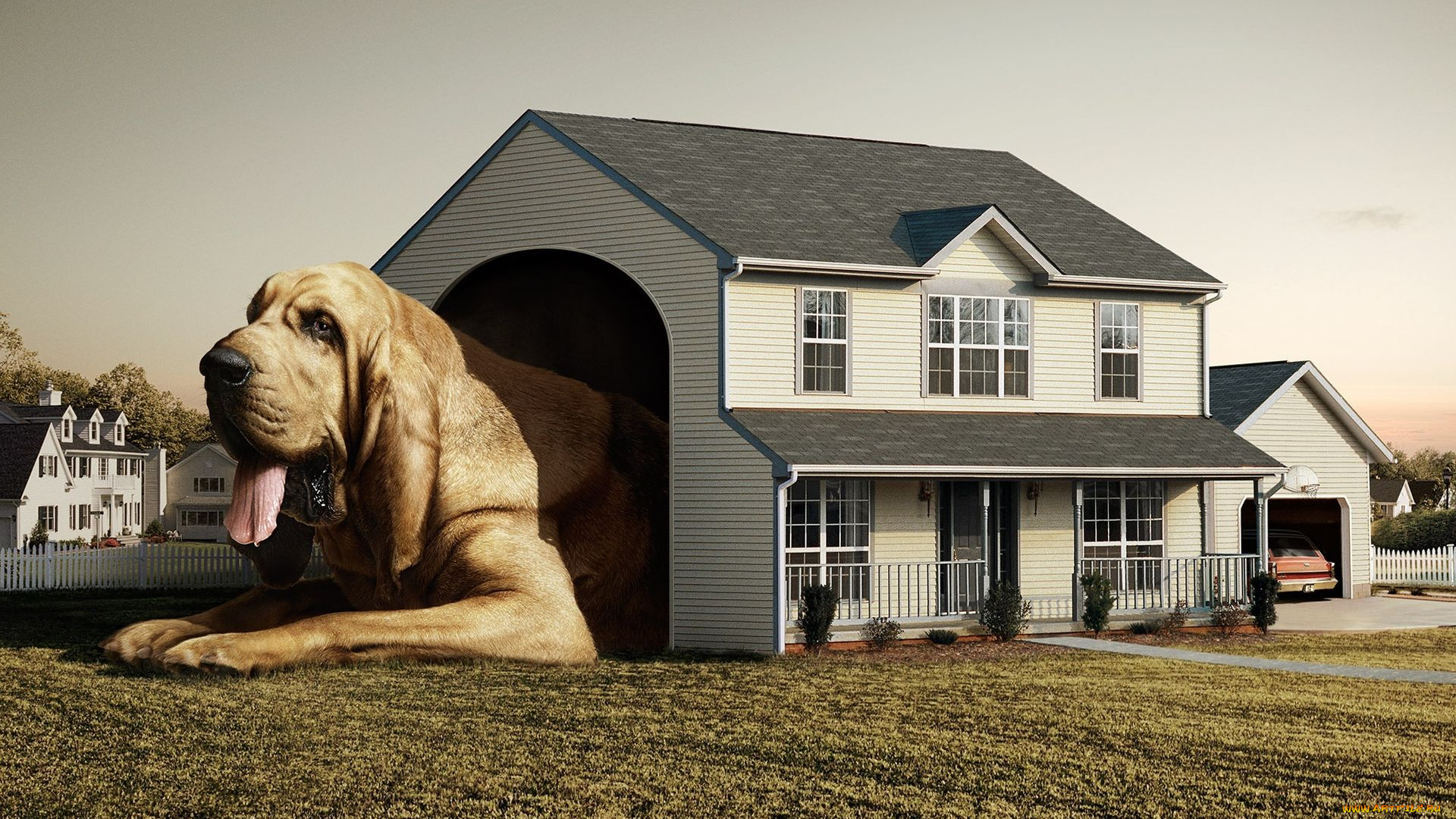 юмор, приколы