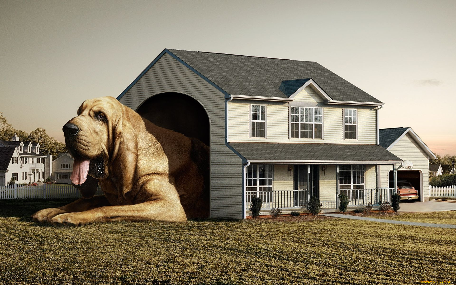 юмор, приколы