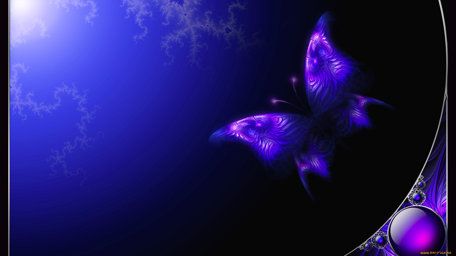 3д, графика, animals, животные, бабочка