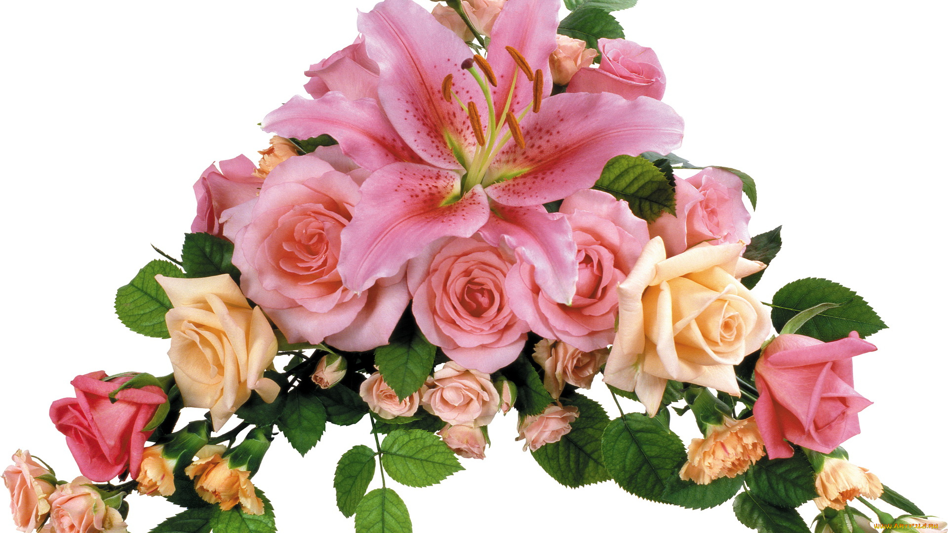 цветы, букеты, композиции, композиция, лилии, розы