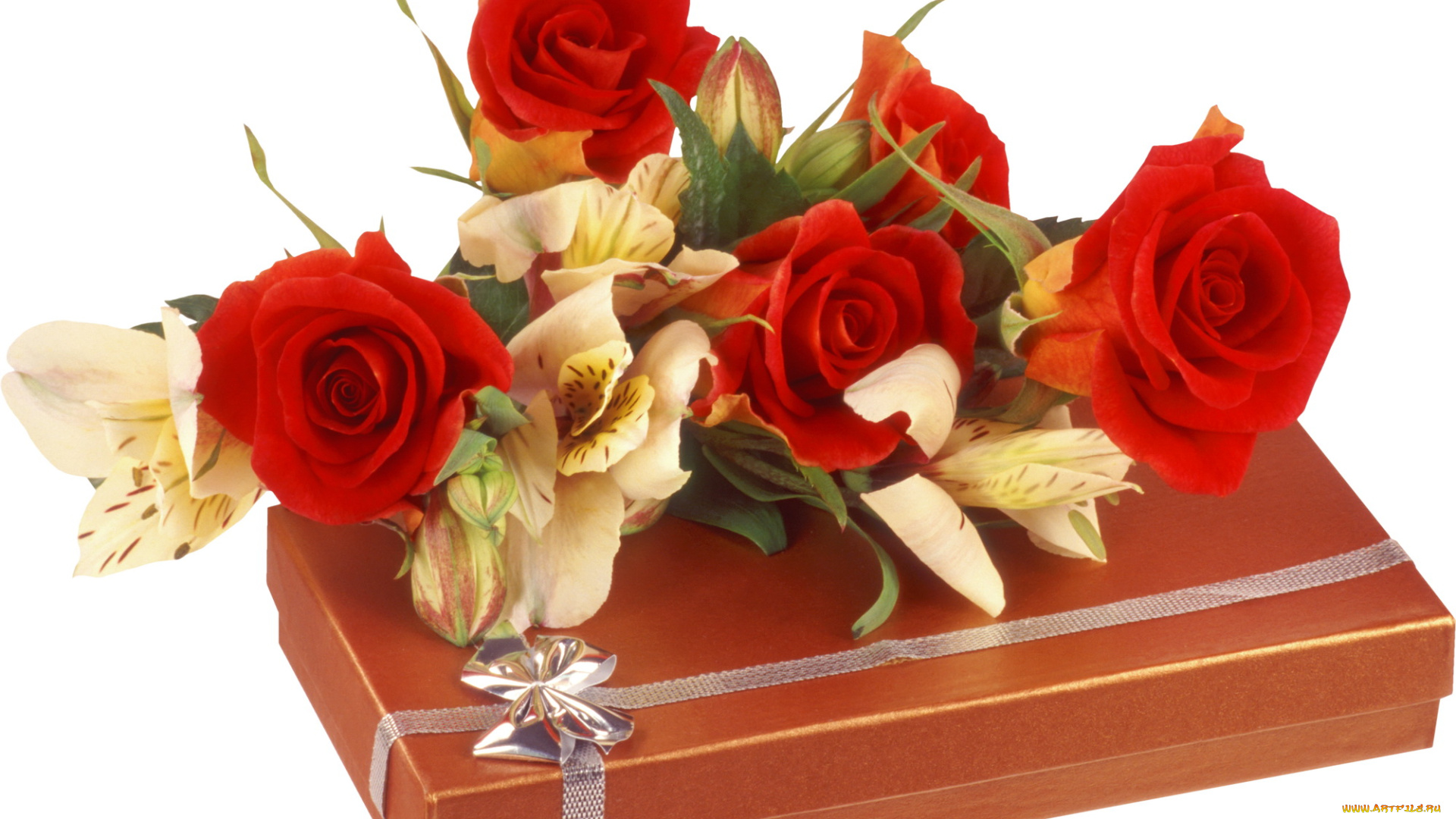 цветы, розы, коробка, бант, лента