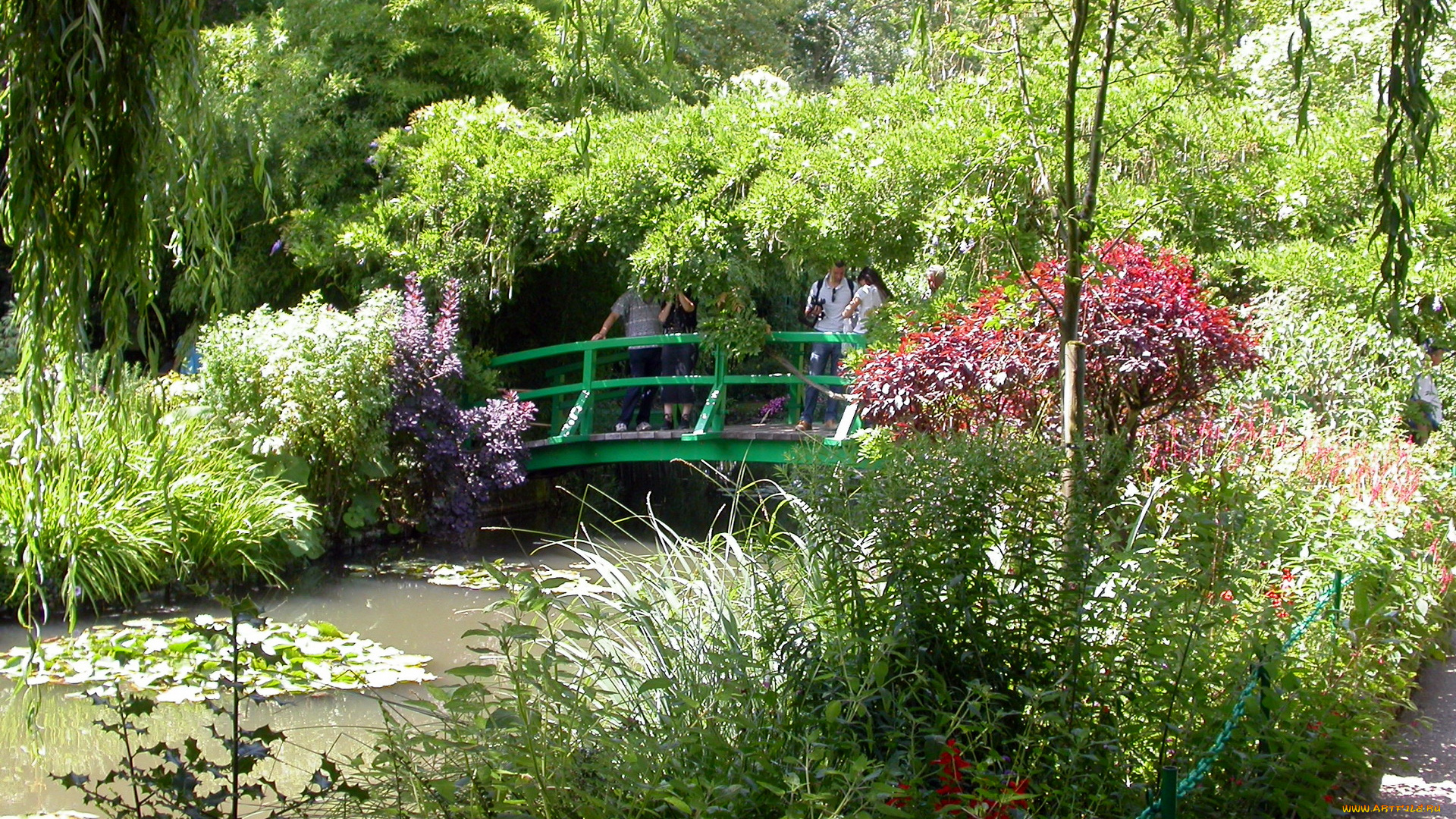 природа, парк, мостик, зелень, водоем