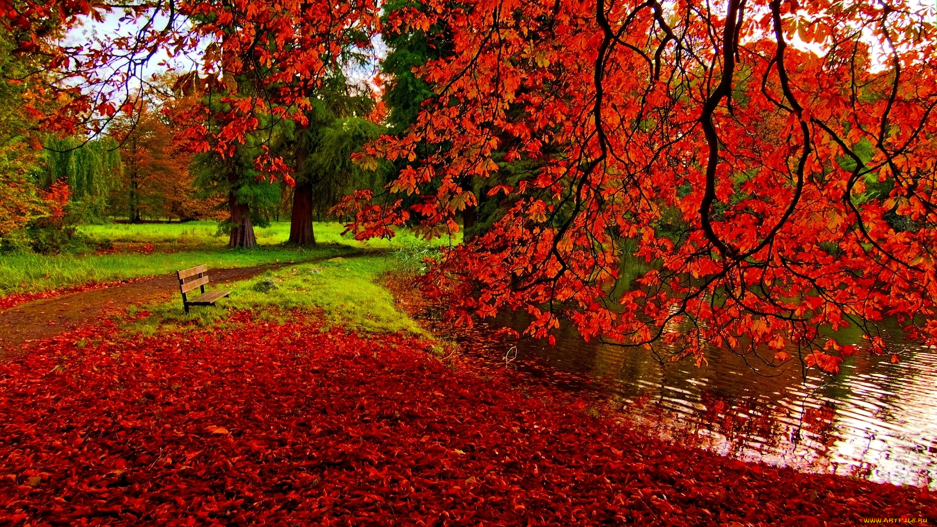 природа, парк, пруд, деревья, листья, скамейка