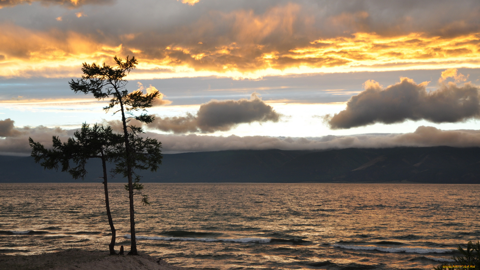 природа, реки, озера, дерево, небо