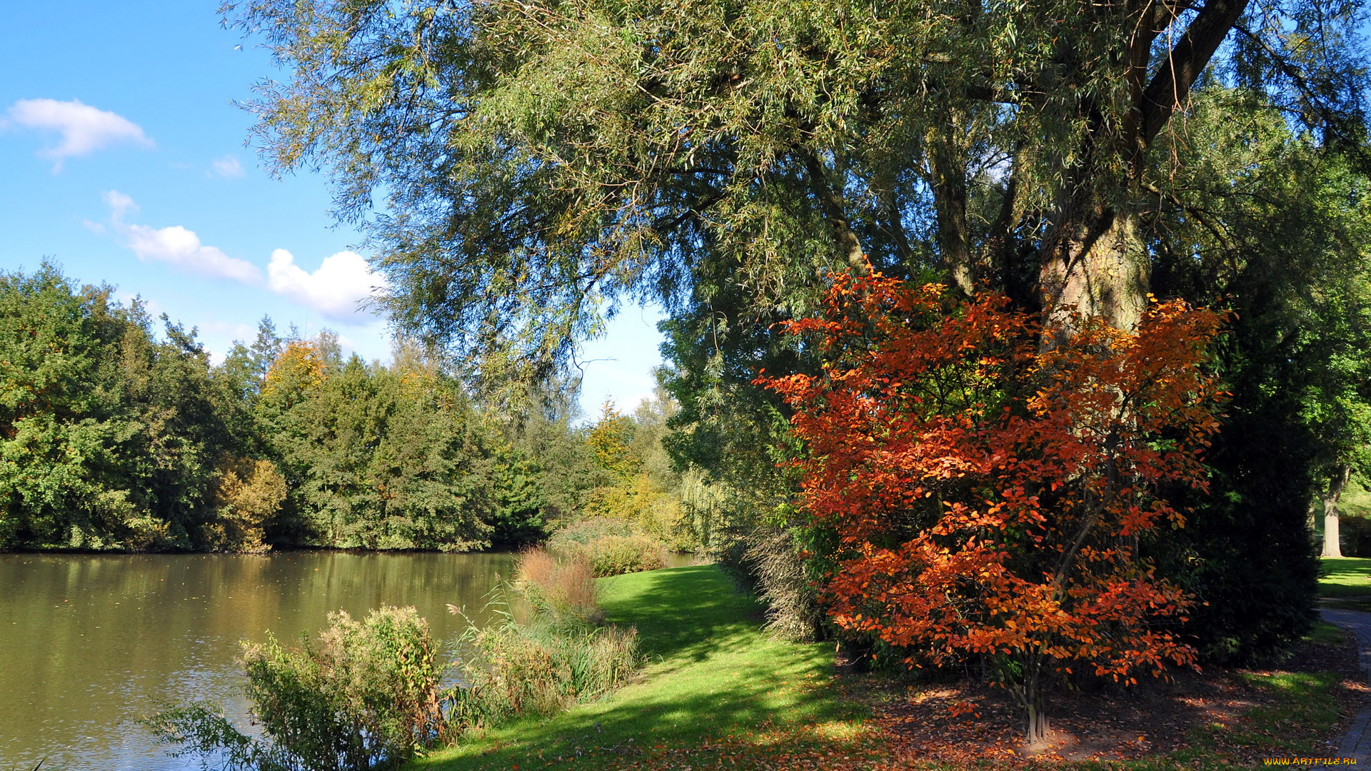 природа, реки, озера, осень, деревья, берег, река