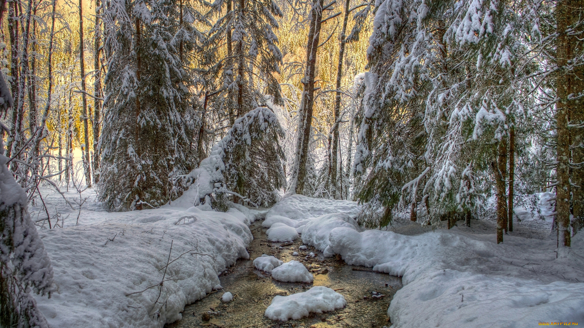 природа, зима, лес, река, снег