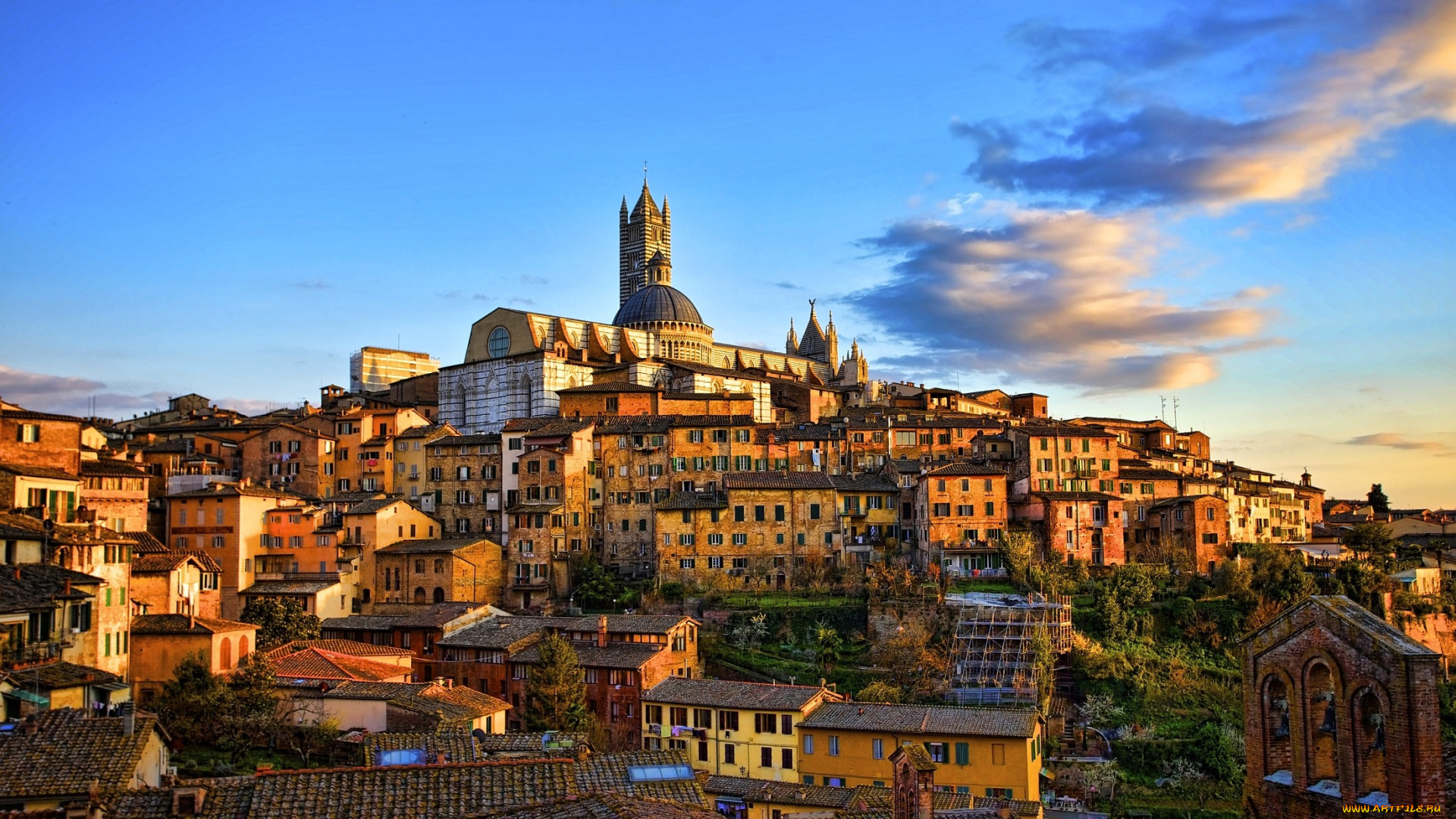 сиенна, италия, города, панорамы, дома, башня, холм
