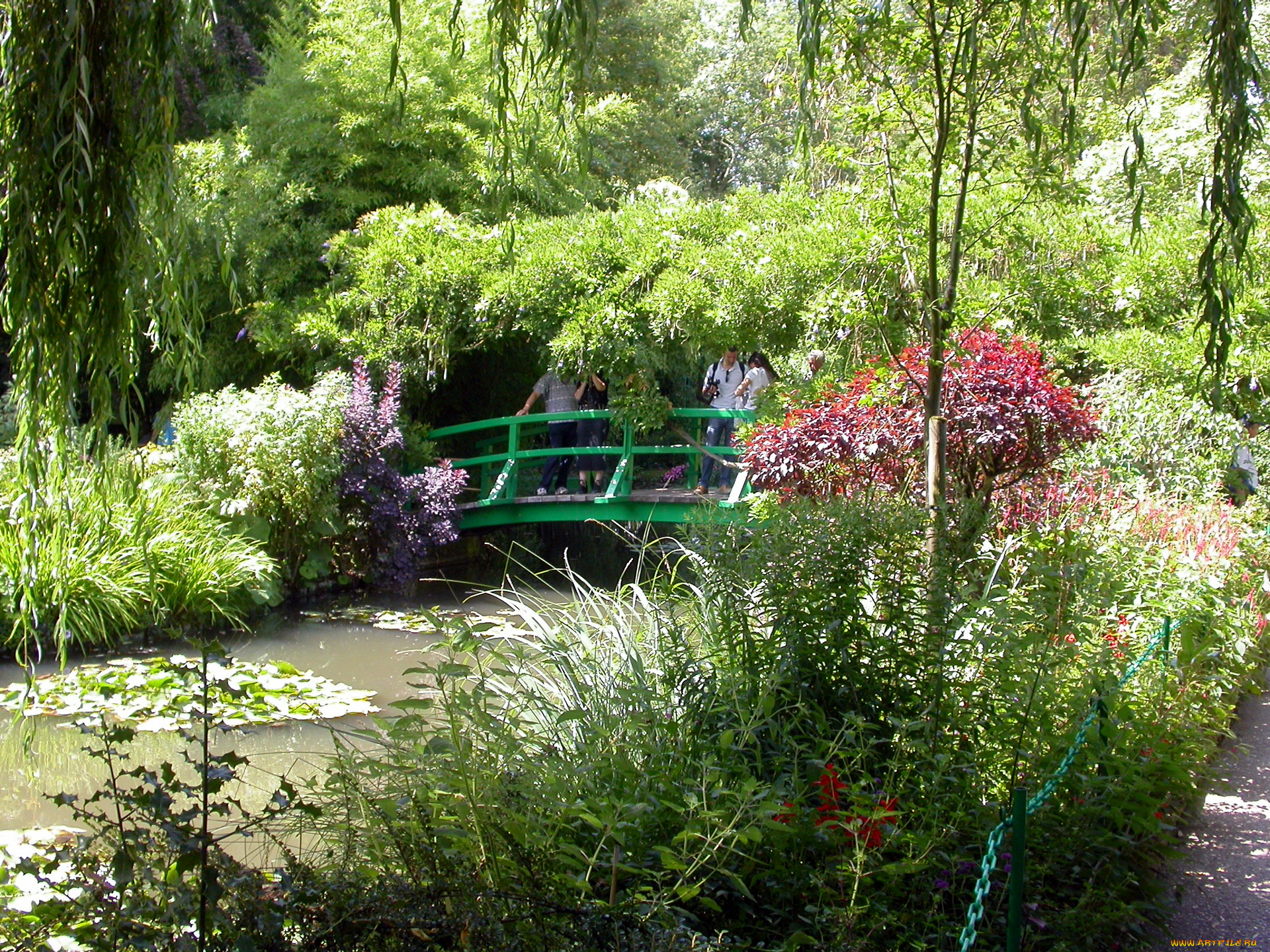 природа, парк, мостик, зелень, водоем