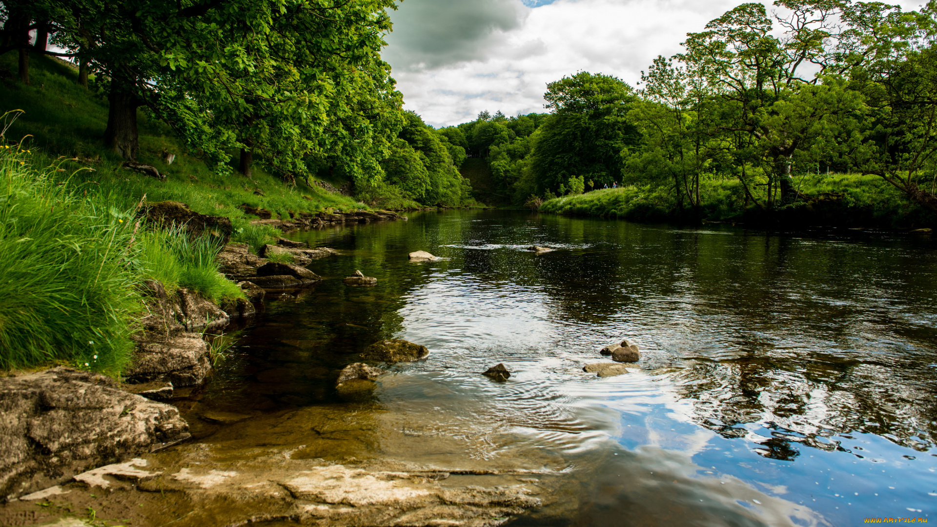 англия, bolton, river, wharfe, природа, реки, озера, деревья, река