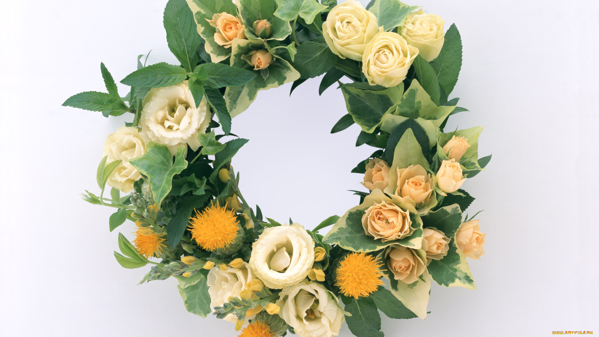 цветы, букеты, композиции, листья, венок