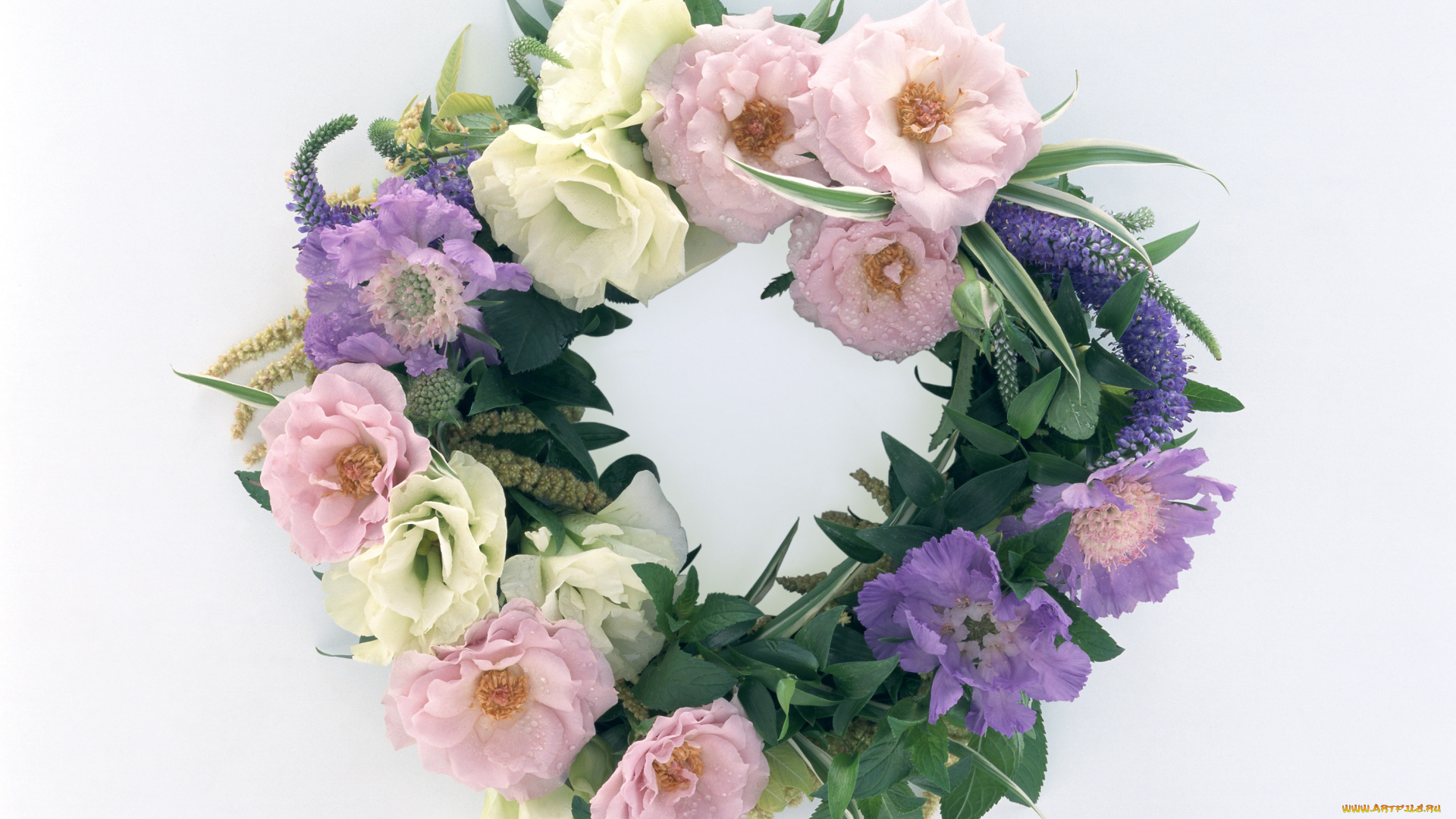 цветы, букеты, композиции, листья, венок