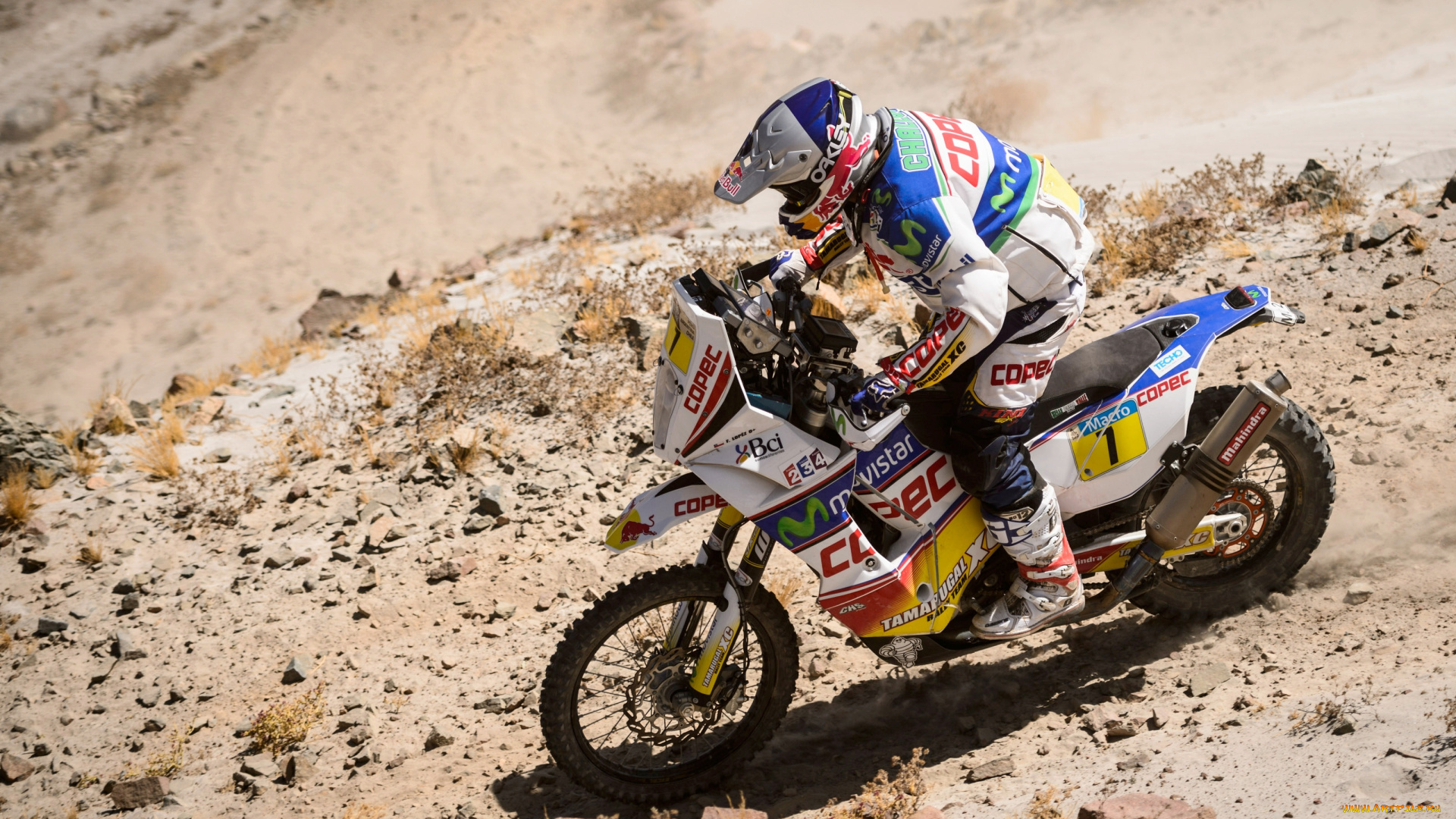 спорт, мотокросс, мото, мотоцикл, гонщик, дакар, dakar, rally, red, bull