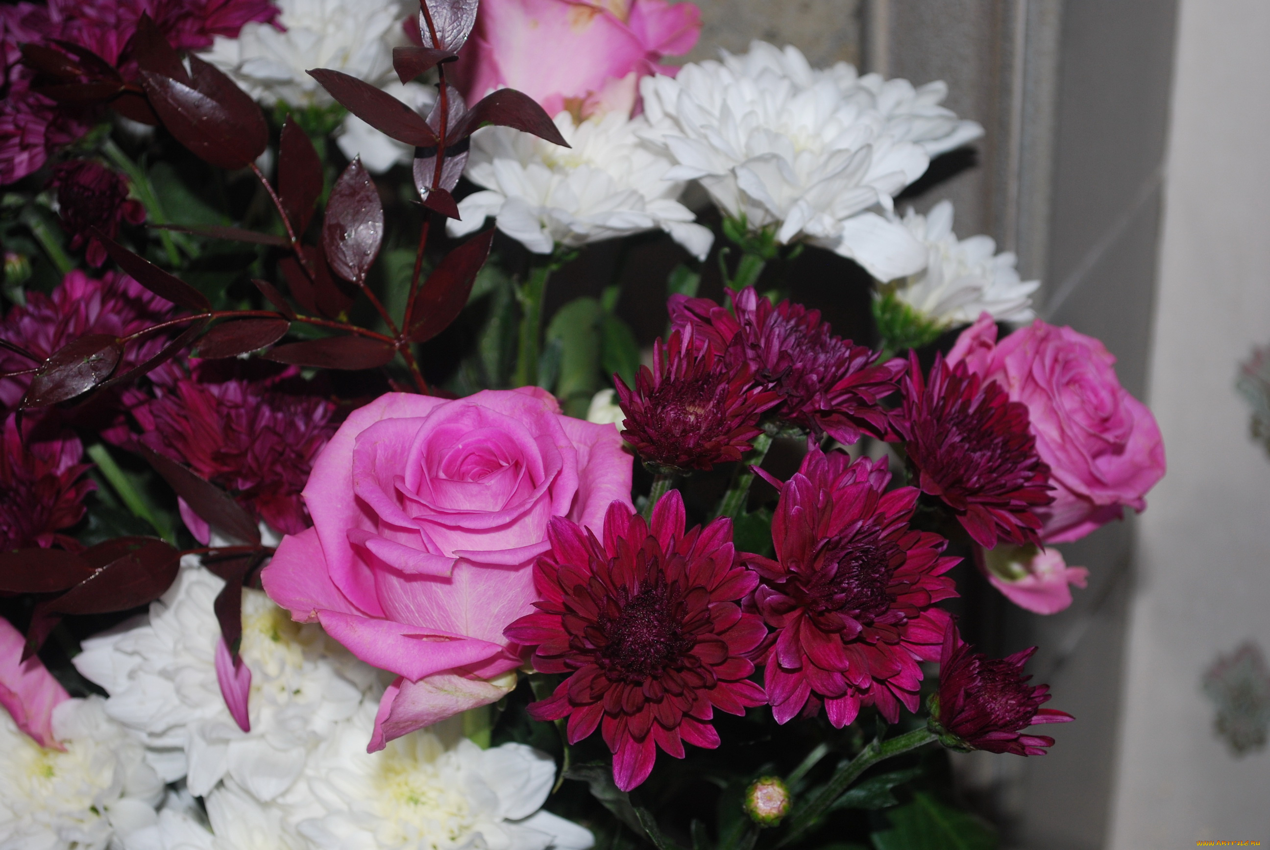 цветы, разные, вместе, букет, розы, герберы