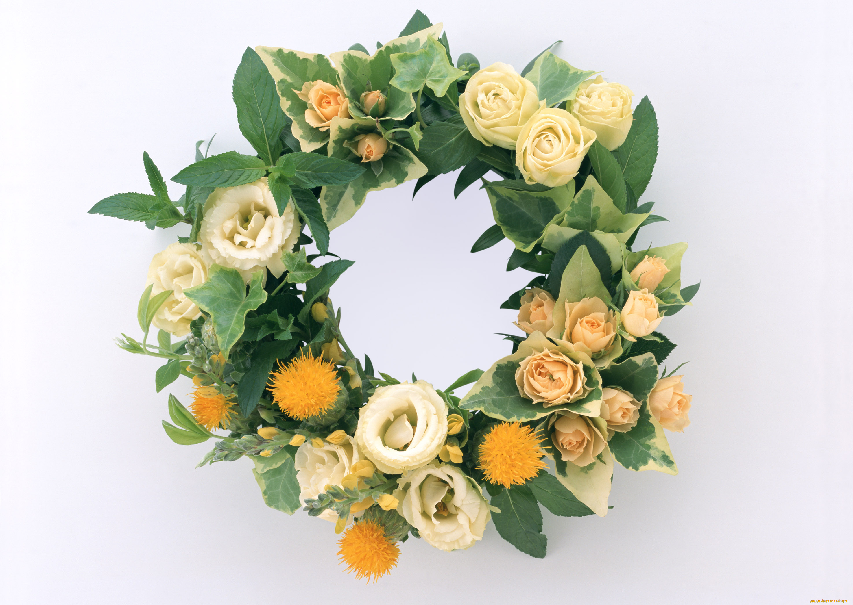 цветы, букеты, композиции, листья, венок