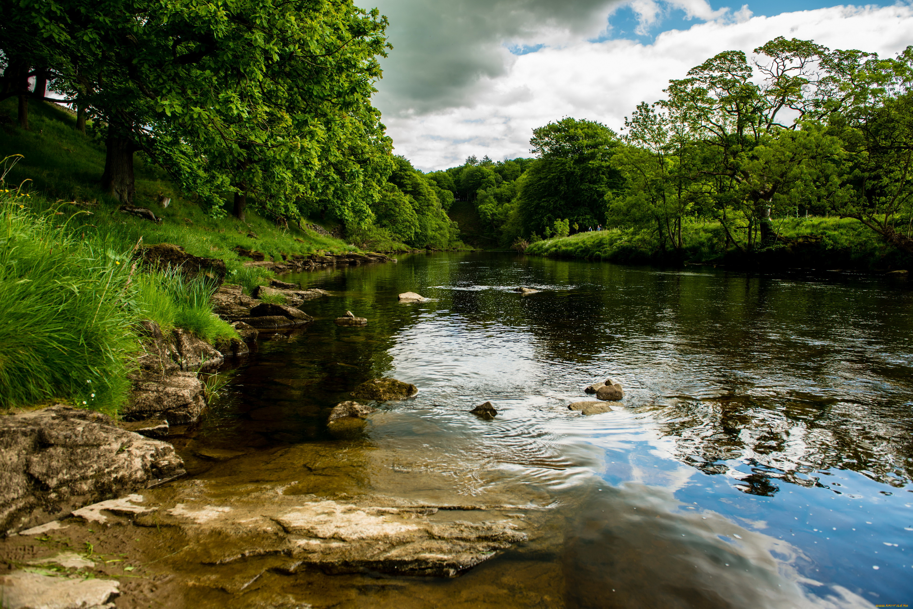 англия, bolton, river, wharfe, природа, реки, озера, деревья, река
